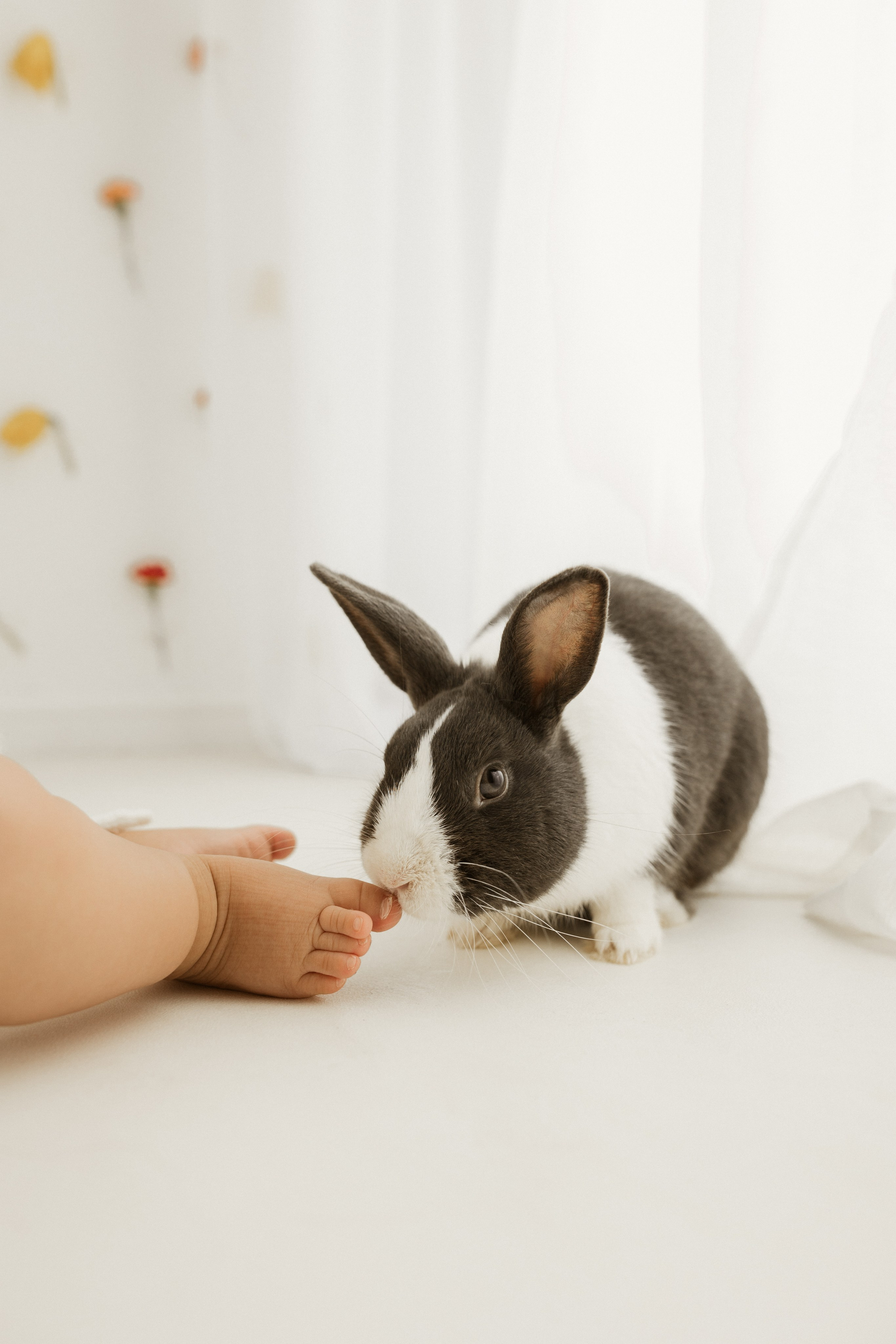 Baby/Kids. Anna Levina Photography