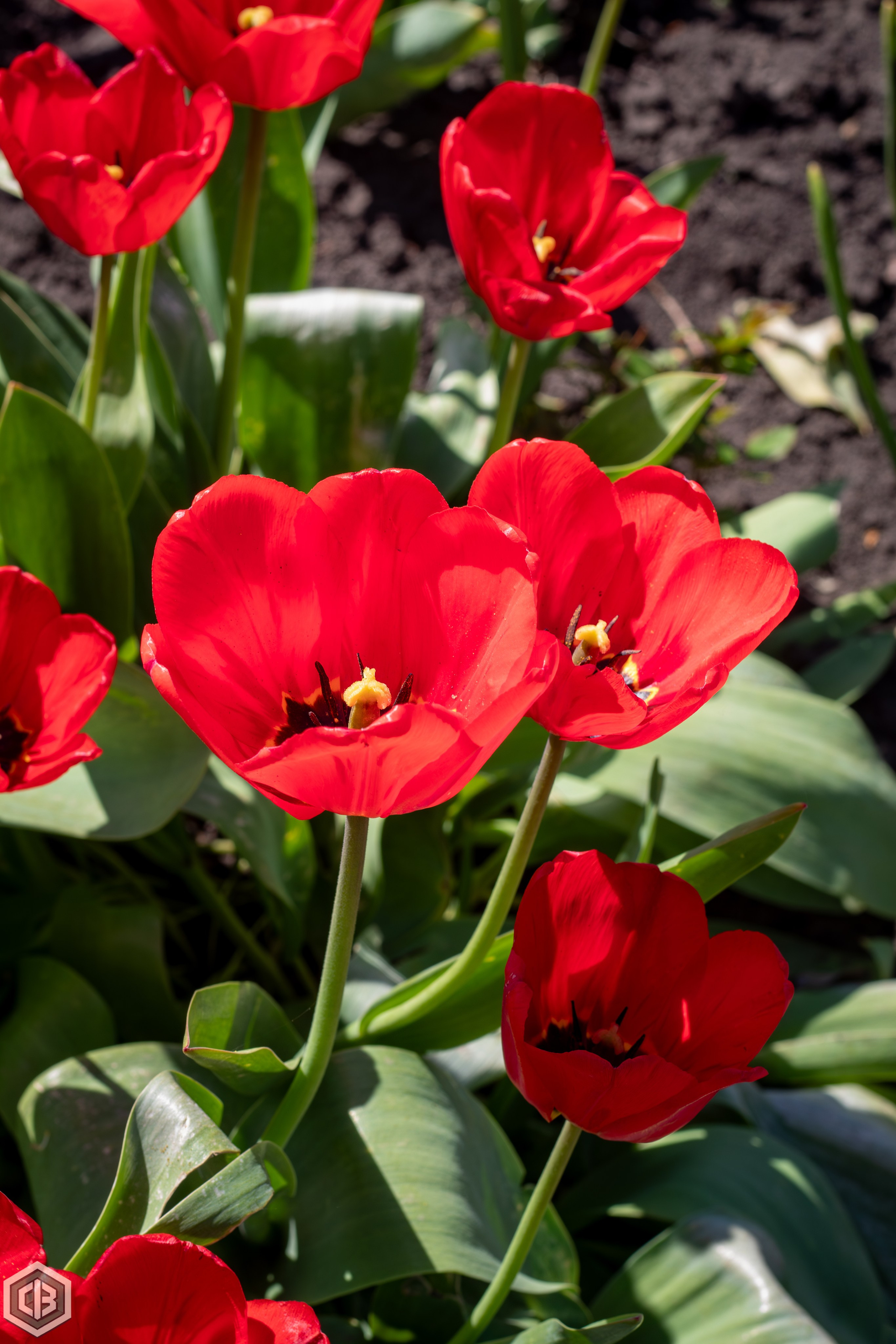 Trip to Mileanca. Cristian Baltag | Photography | Capturing Moments in Iasi