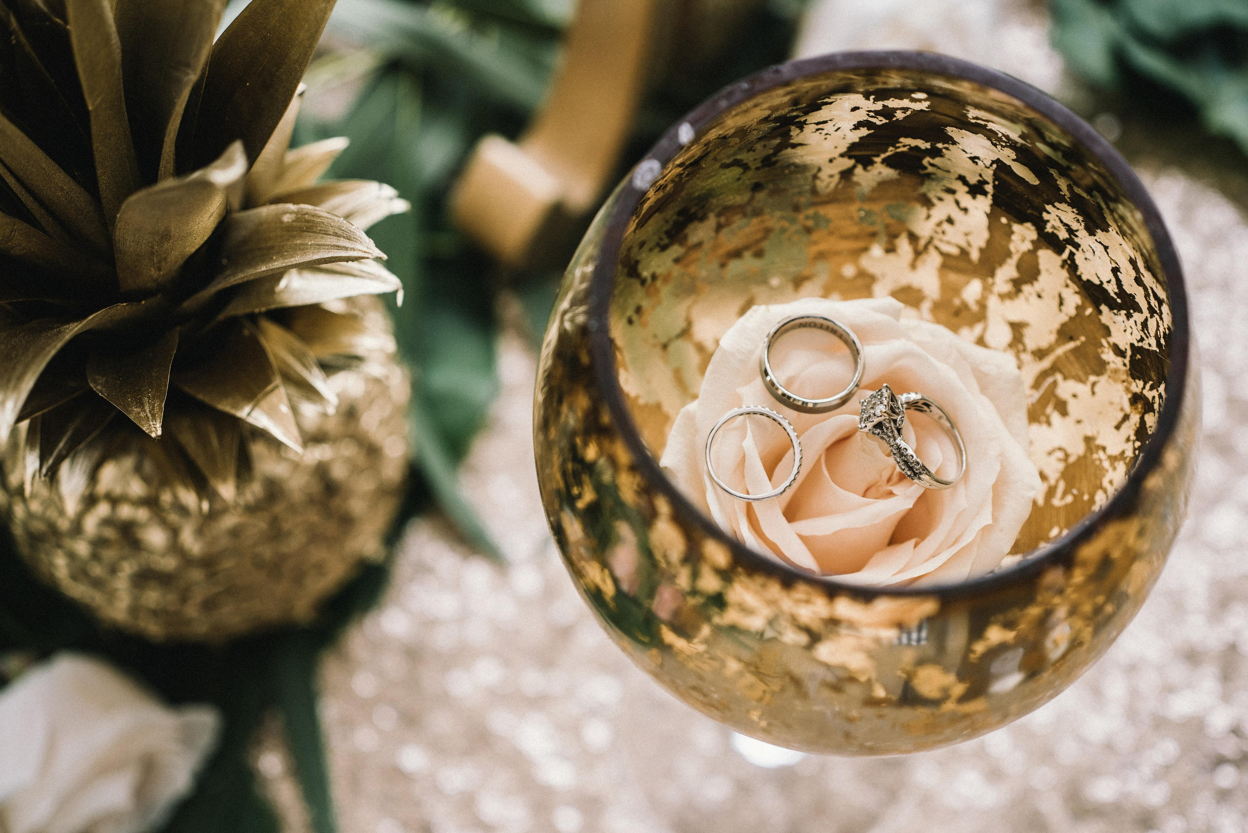 Wedding rings collection. Punta cana wedding family fashion photographer dominican republic, destination wedding photographer, elopement photography Punta Cana