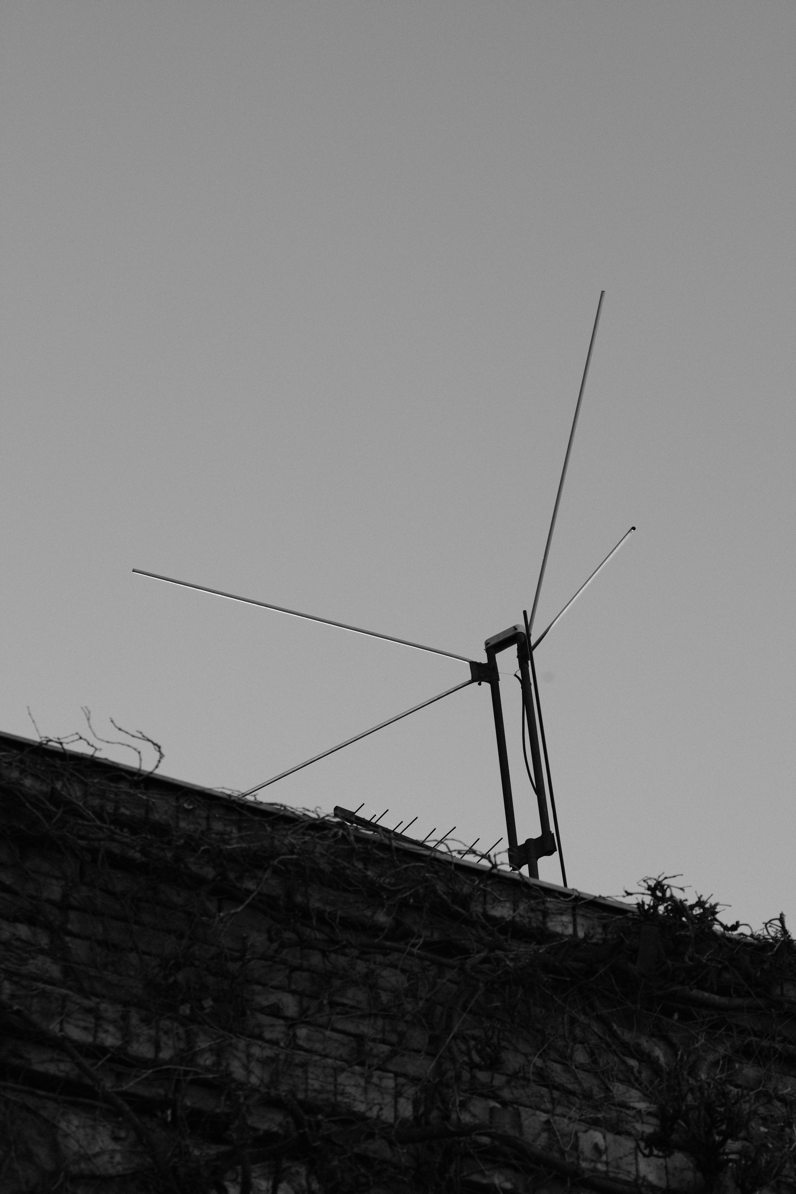 B&W ACROS + G. @Gio.Fujifilm official Fujifilm Ambassador & X-Photographer in Georgia