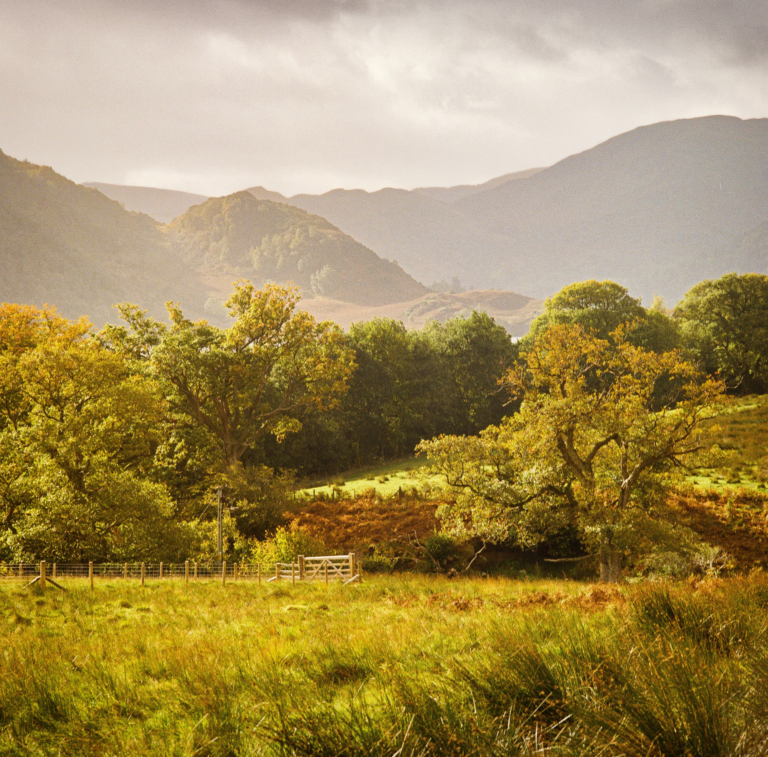 UK Landscape & Seascape Gallery. Hedley Wright Photography | East Anglia Sport, Street, Wildlife, Landscape & Astrophotography