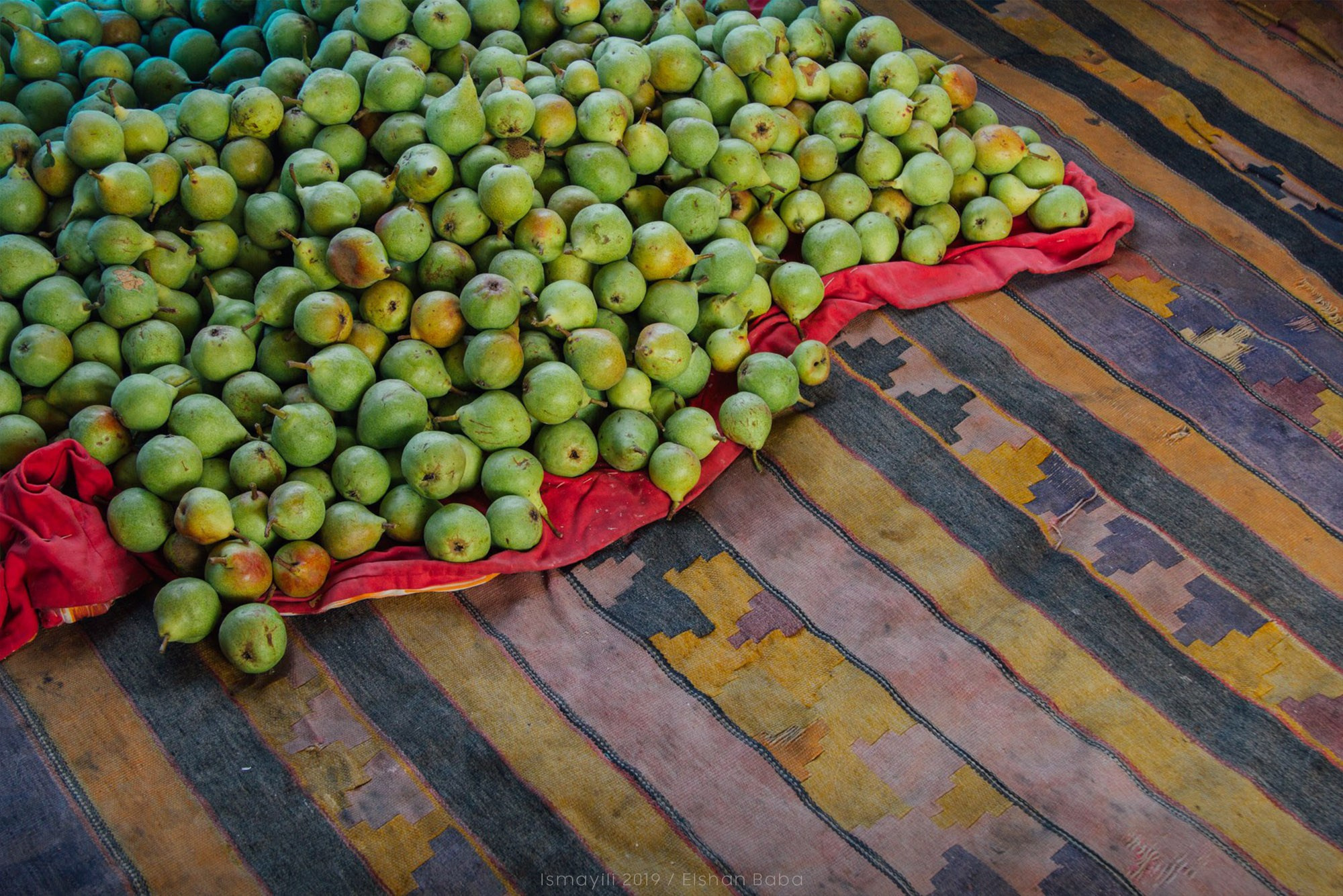 Təbiət Fotoqrafiyası və Portret Çəkilişləri. Bakıda Peşəkar Tədbir, Love Story və Təbiət Fotoqrafı — Elşən Baba