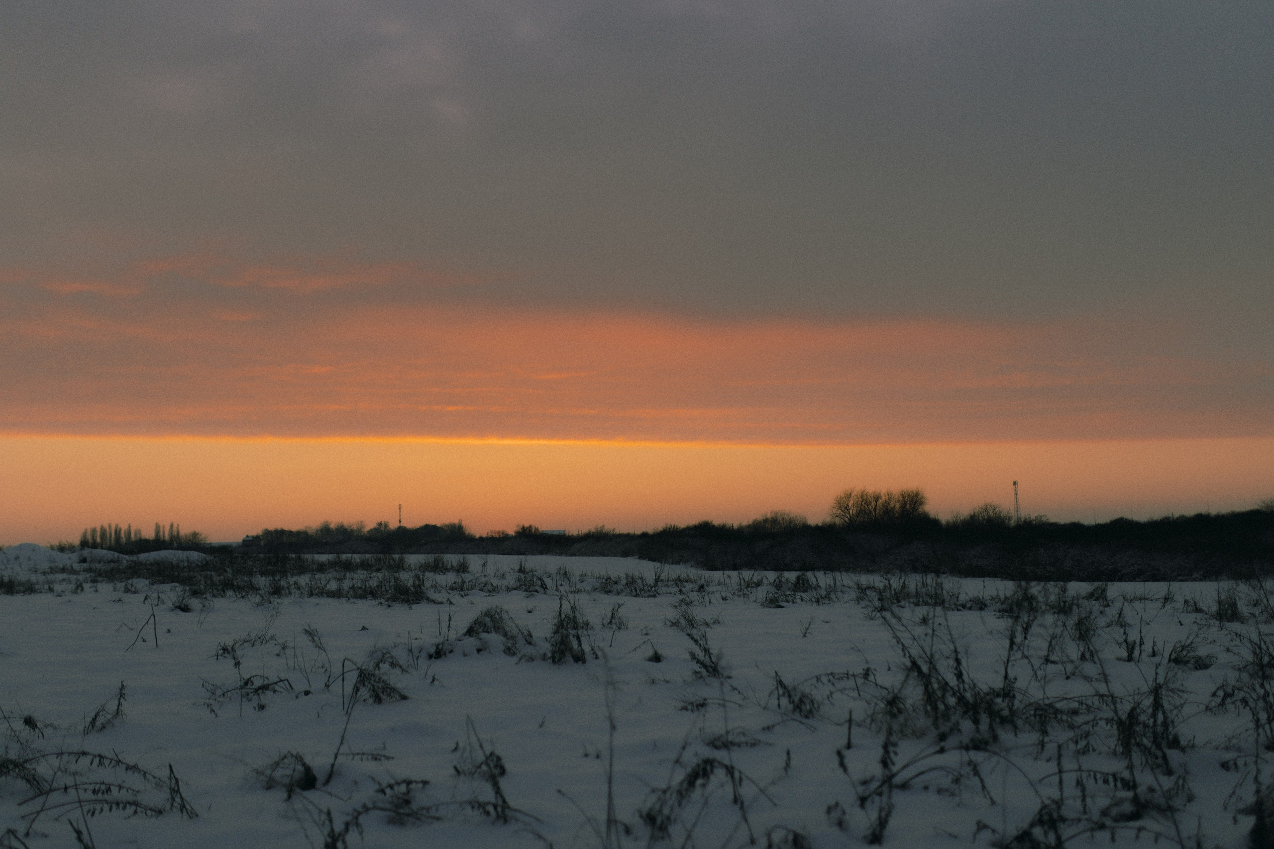 Snowy. Wedding photographer and videographer based in Timisoara, Romania