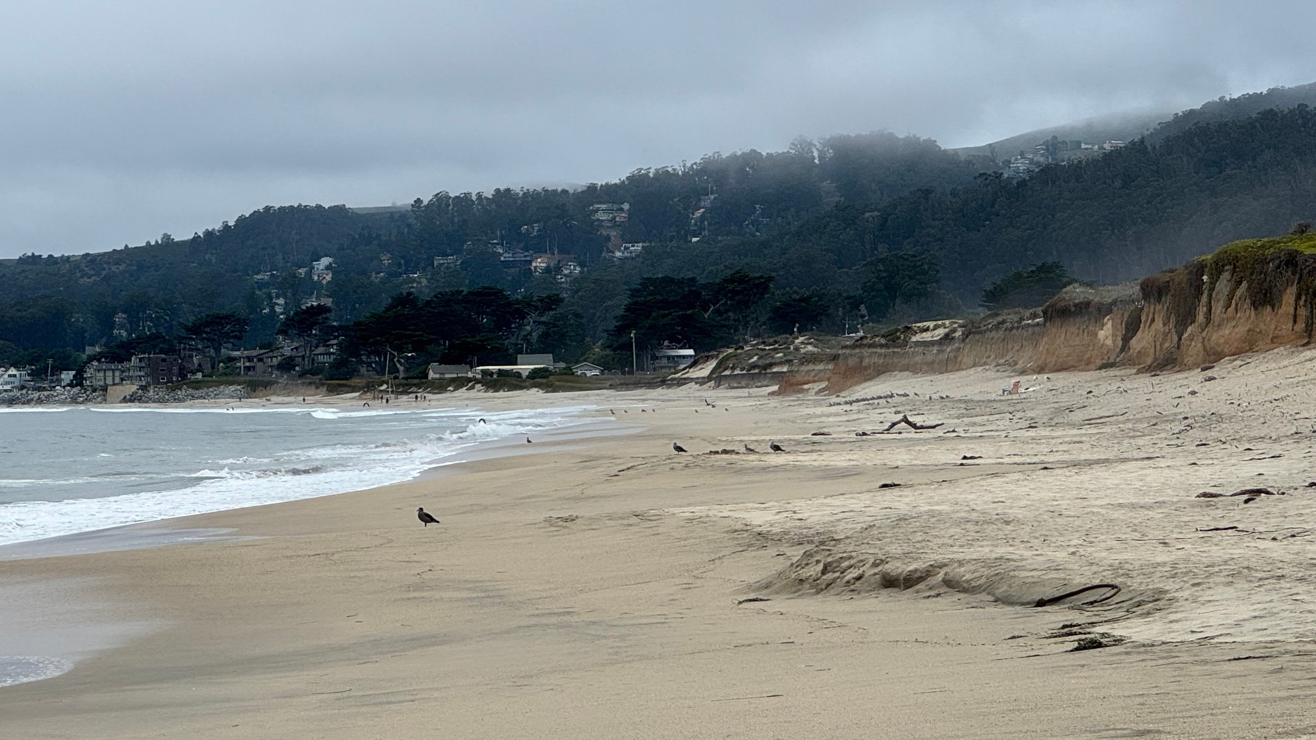 Bay Area Beach Guide for Photoshoots | Best Beaches for Maternity, Couples & Family. Maternity, newborn photographer in the Bay Area|Iryna Rakivnenko