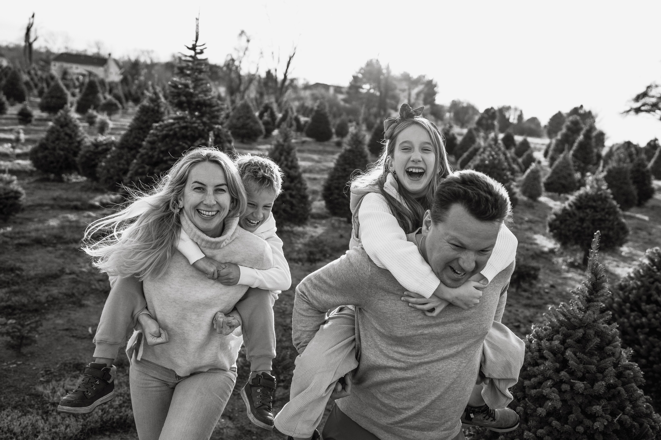 Christmas Farm Family Photoshoot – Magical Holiday Memories. Alisa Tant — Family and newborn photographer Bucks County, Montgomery county, Philadelphia, NJ
