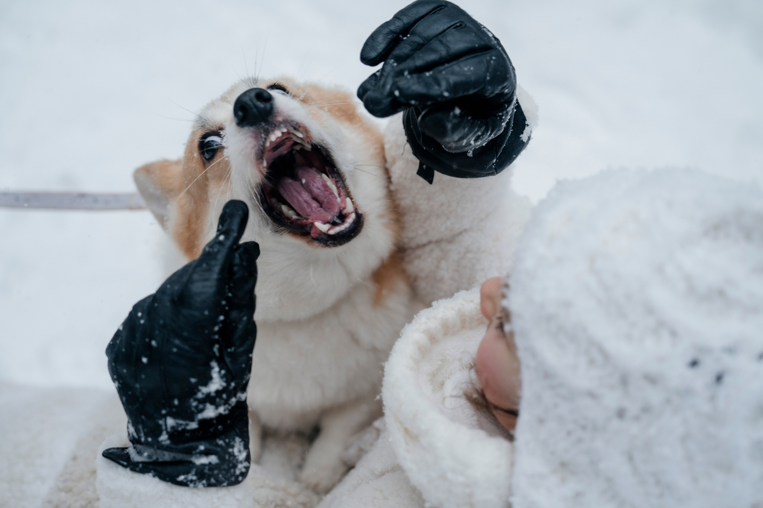 Семья/пара. Фотограф Таллинн — свадьба |семья | lovestory