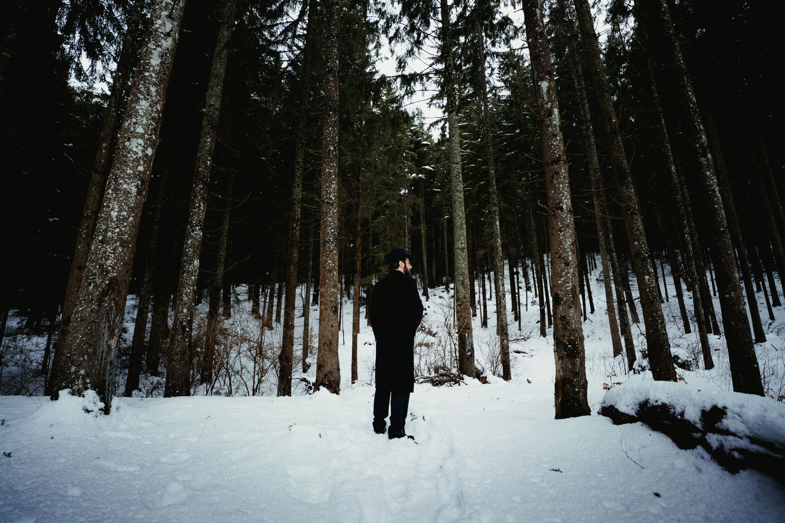 Dragos Dumitru. Cosminvirlan.ro