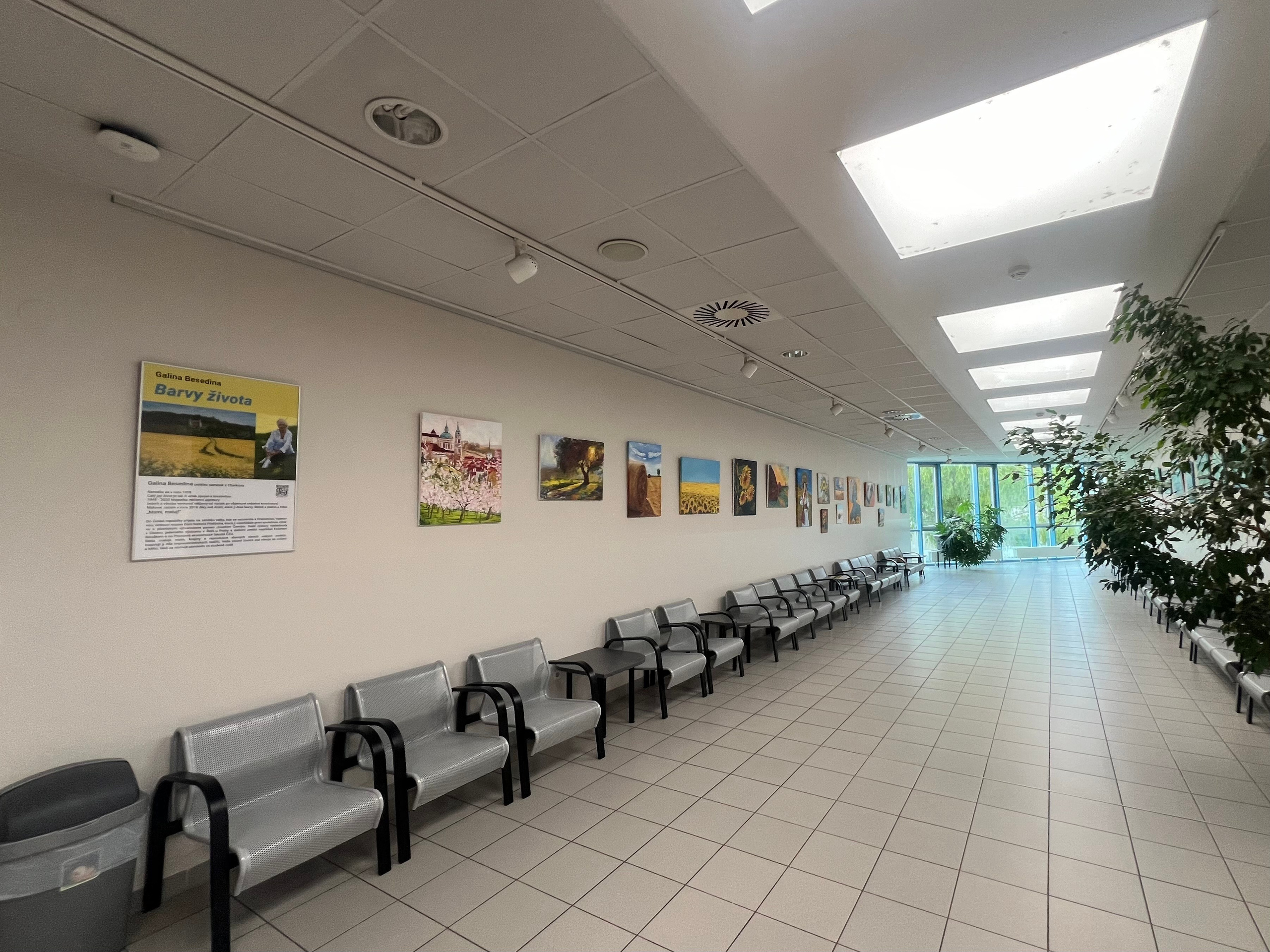 ВЫСТАВКИ / МЕДИА. GALA художник из г. Харьков в Чехии