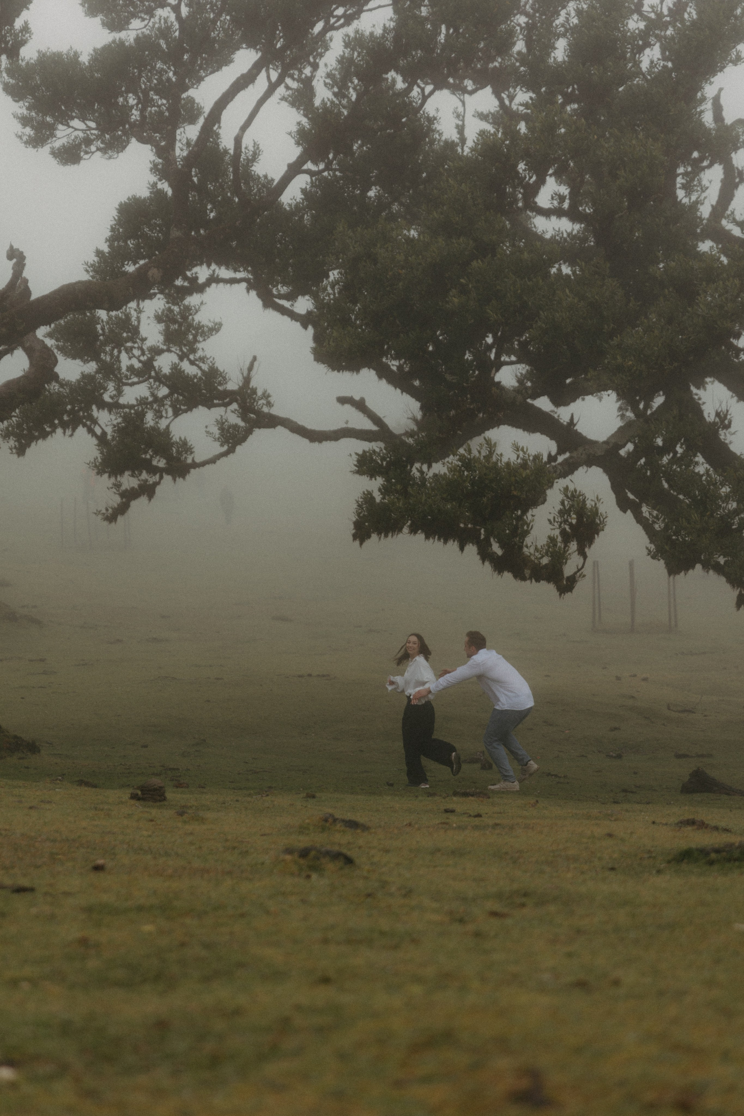 Magic of Fanal Forest. Wedding photographer and videographer based in Timisoara, Romania