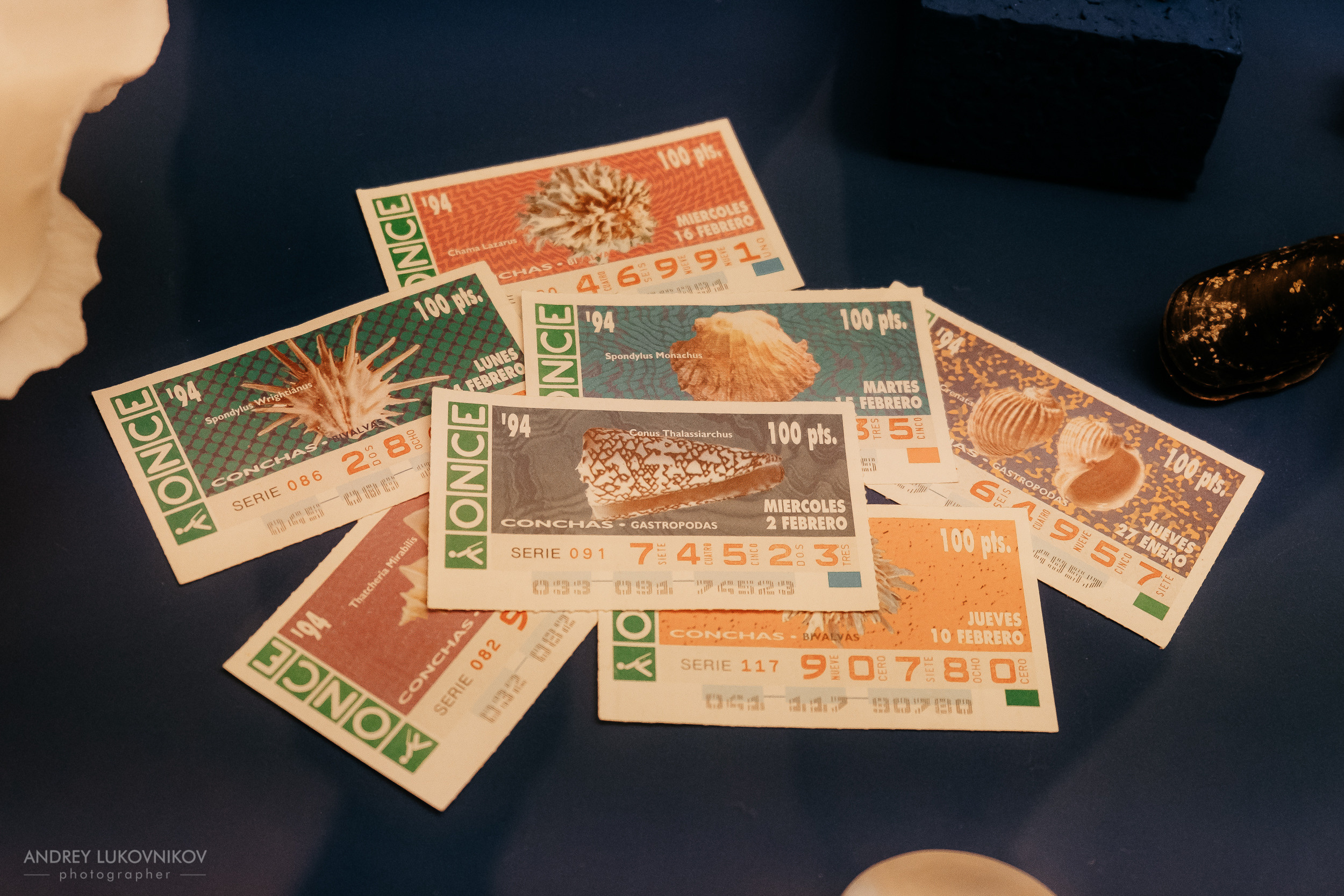 Палеонтологический музей в Эльче (Museo Paleontológico de Elche)