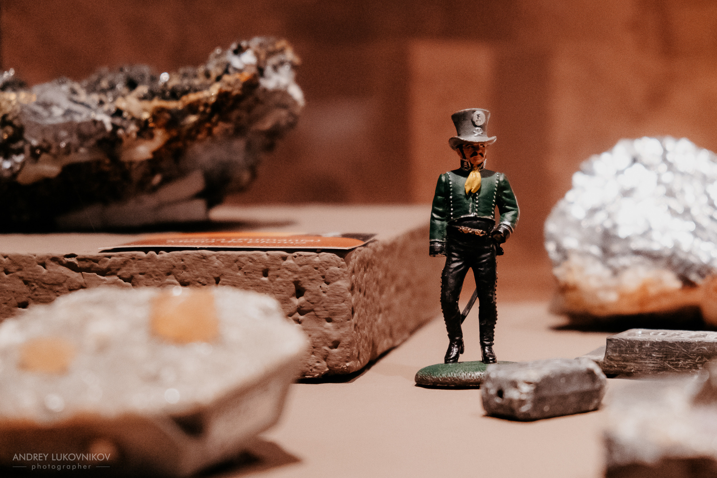 Палеонтологический музей в Эльче (Museo Paleontológico de Elche)