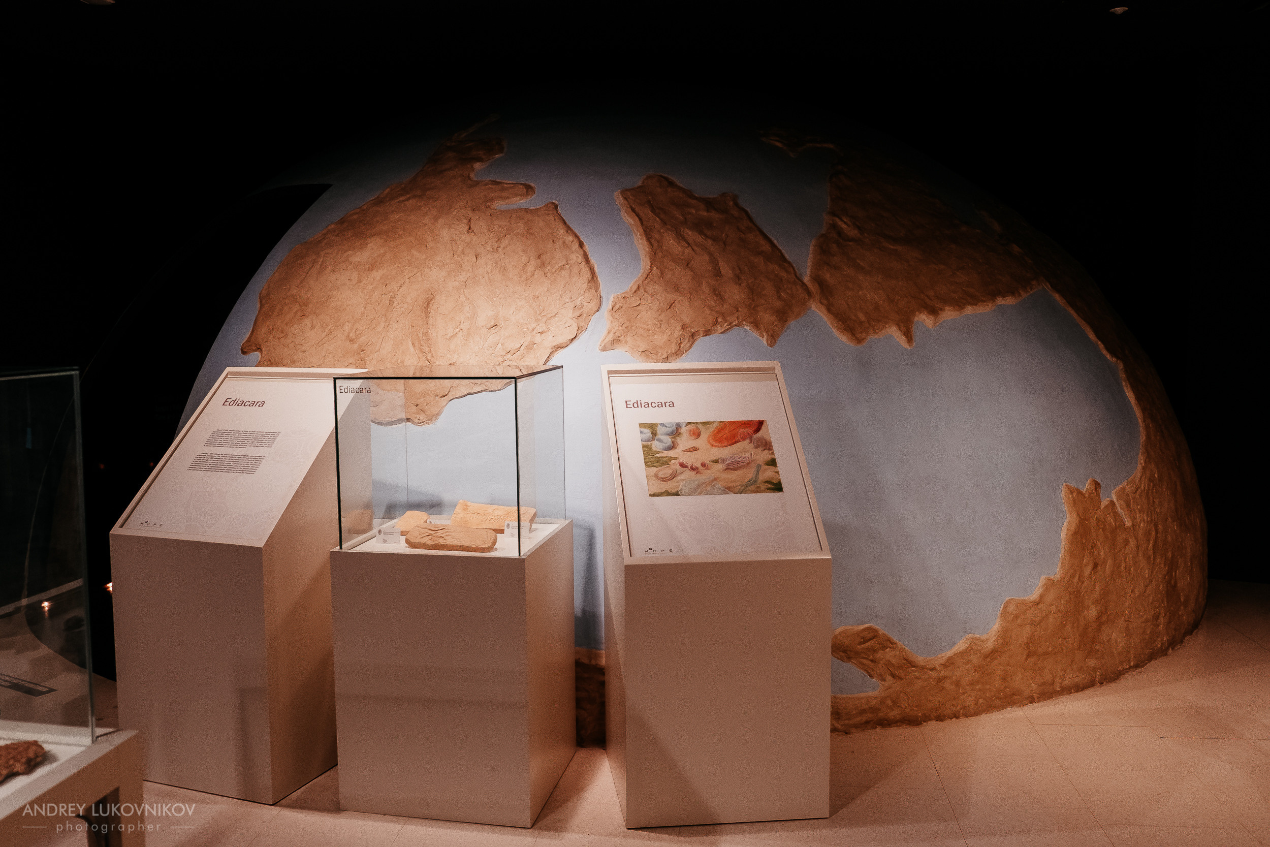 Палеонтологический музей в Эльче (Museo Paleontológico de Elche)