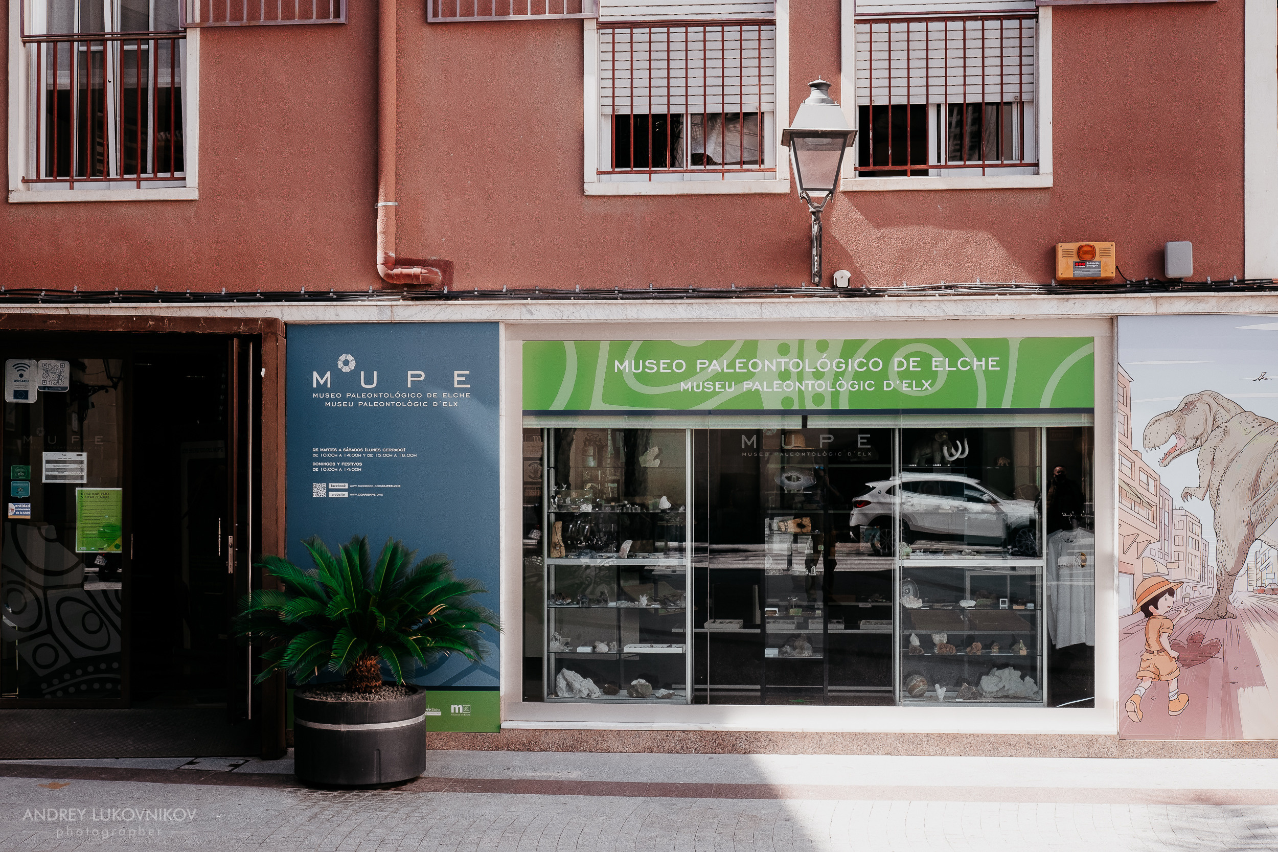 Палеонтологический музей в Эльче (Museo Paleontológico de Elche)