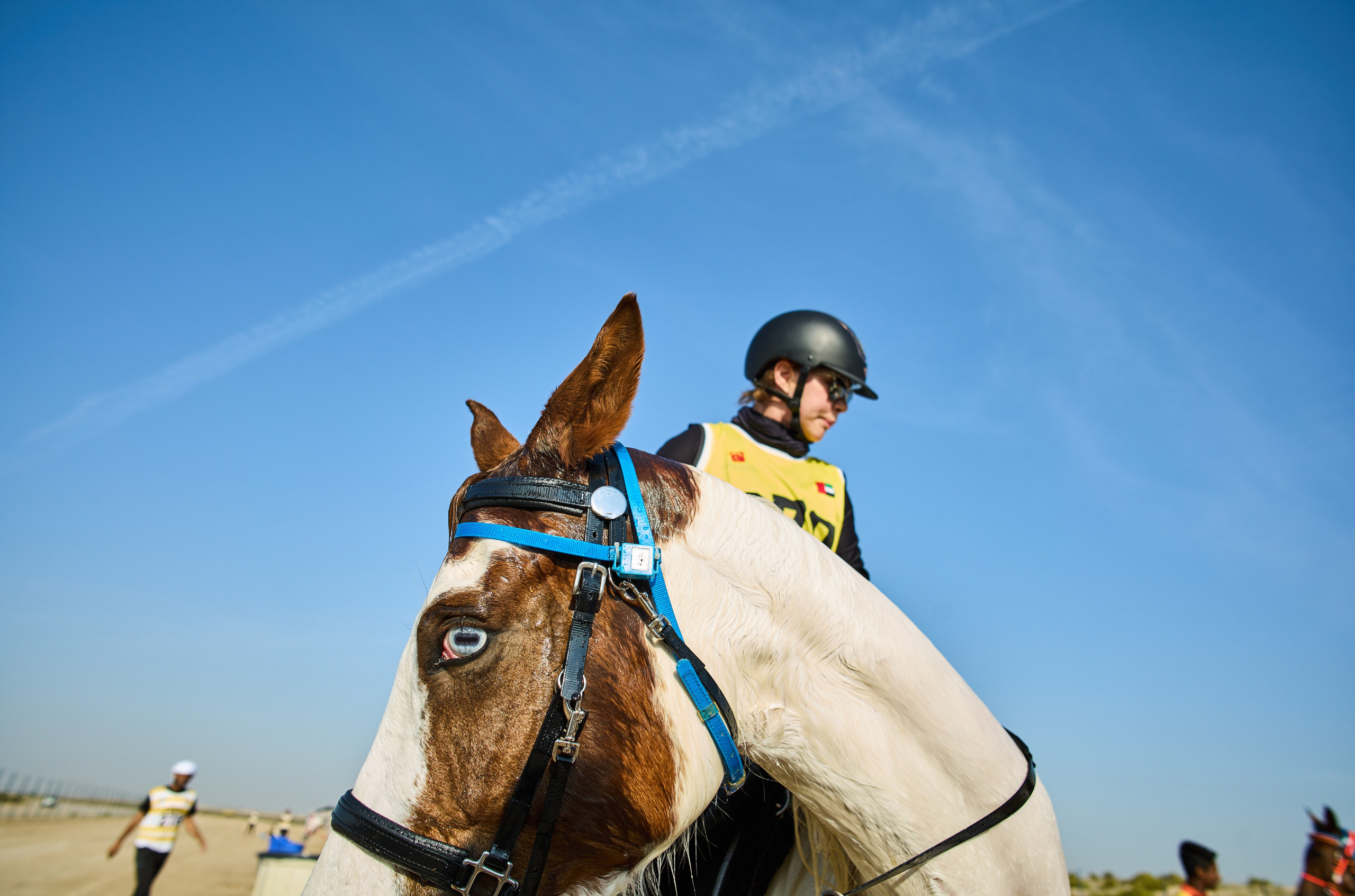 ENDURANCE HORSE RACING. Grigoriy Yaroshenko photography | Фотограф Григорий Ярошенко