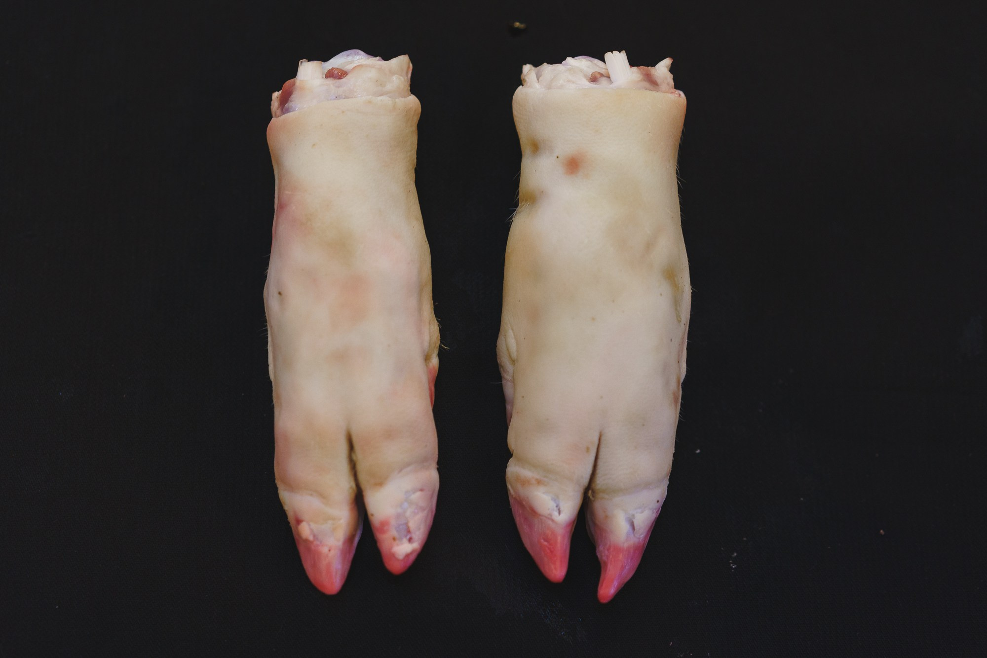 The Inner World of Butcher Shop. Stanislava Novgorodtseva — Photographer | Visual Artist | Educator