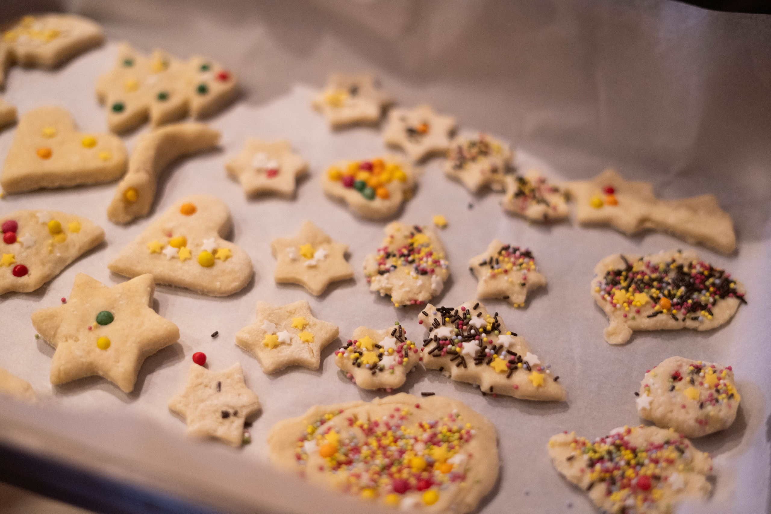Семейный лагерь «Новогоднее Приключение». Семейные лагеря в Европе с Ниной Янечковой и Ириной Зиновьевой