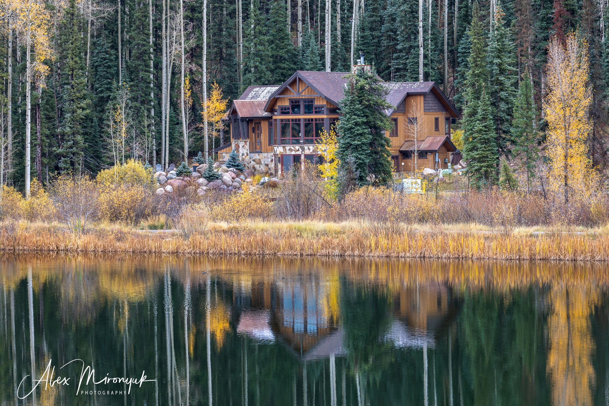Fall Colors Of Colorado. Pet, Senior, Landscape, portrait studio, photographer in Miami and Sou