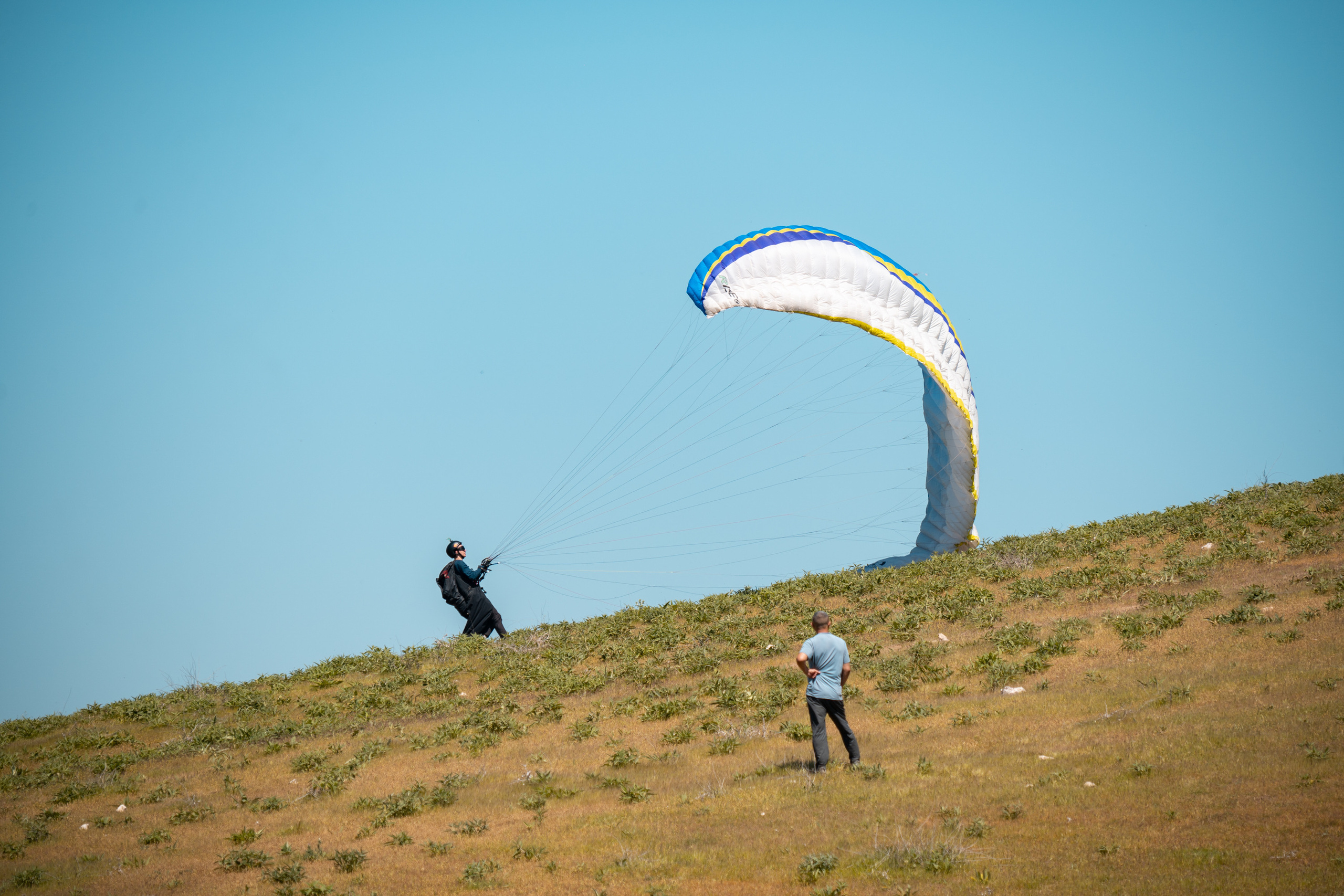 SIGMA 60-600mm — обзор. Фотограф Григорий Кравец