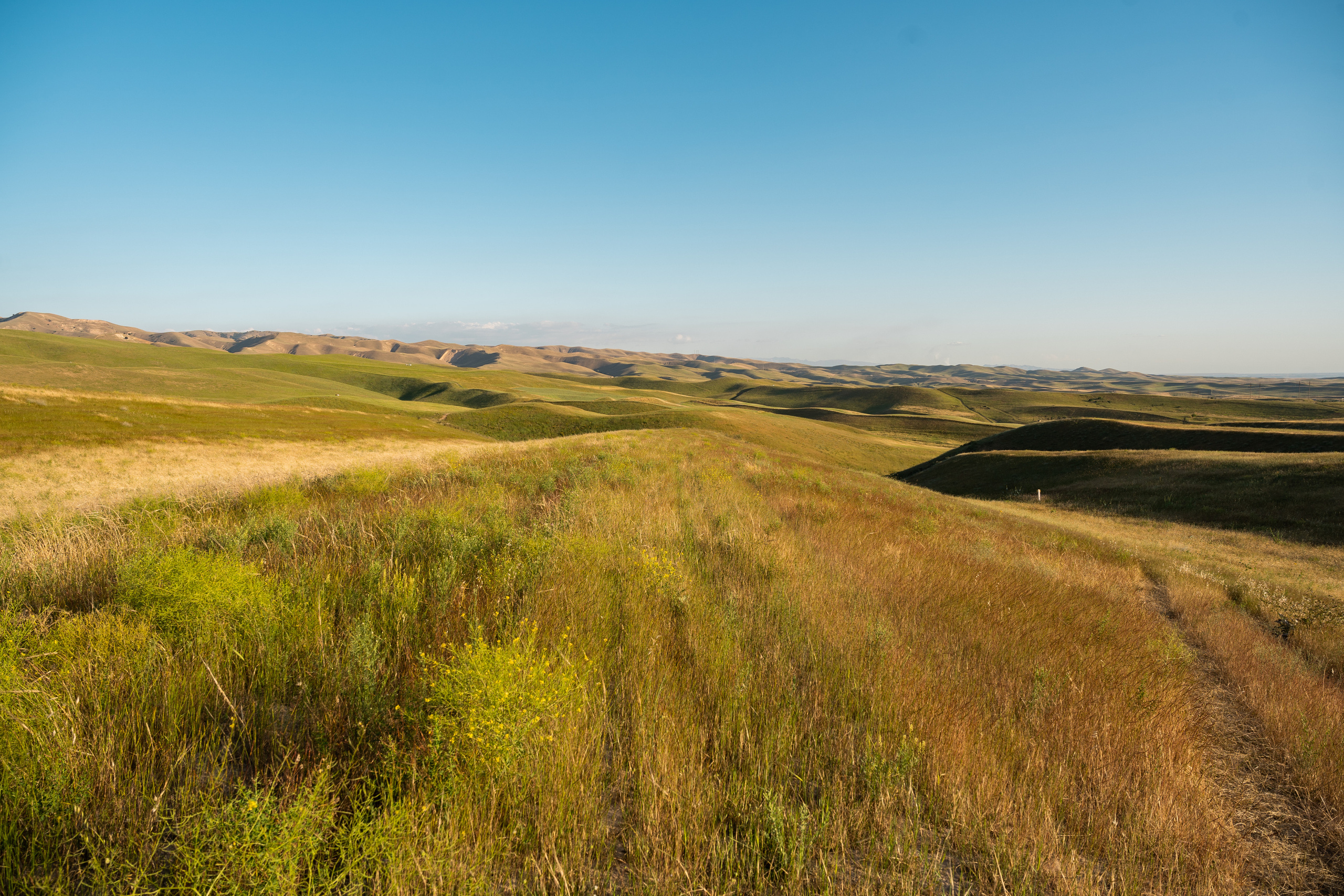 Sigma 24-70mm F2.8 DG DN Art (Sony E). Фотограф Григорий Кравец