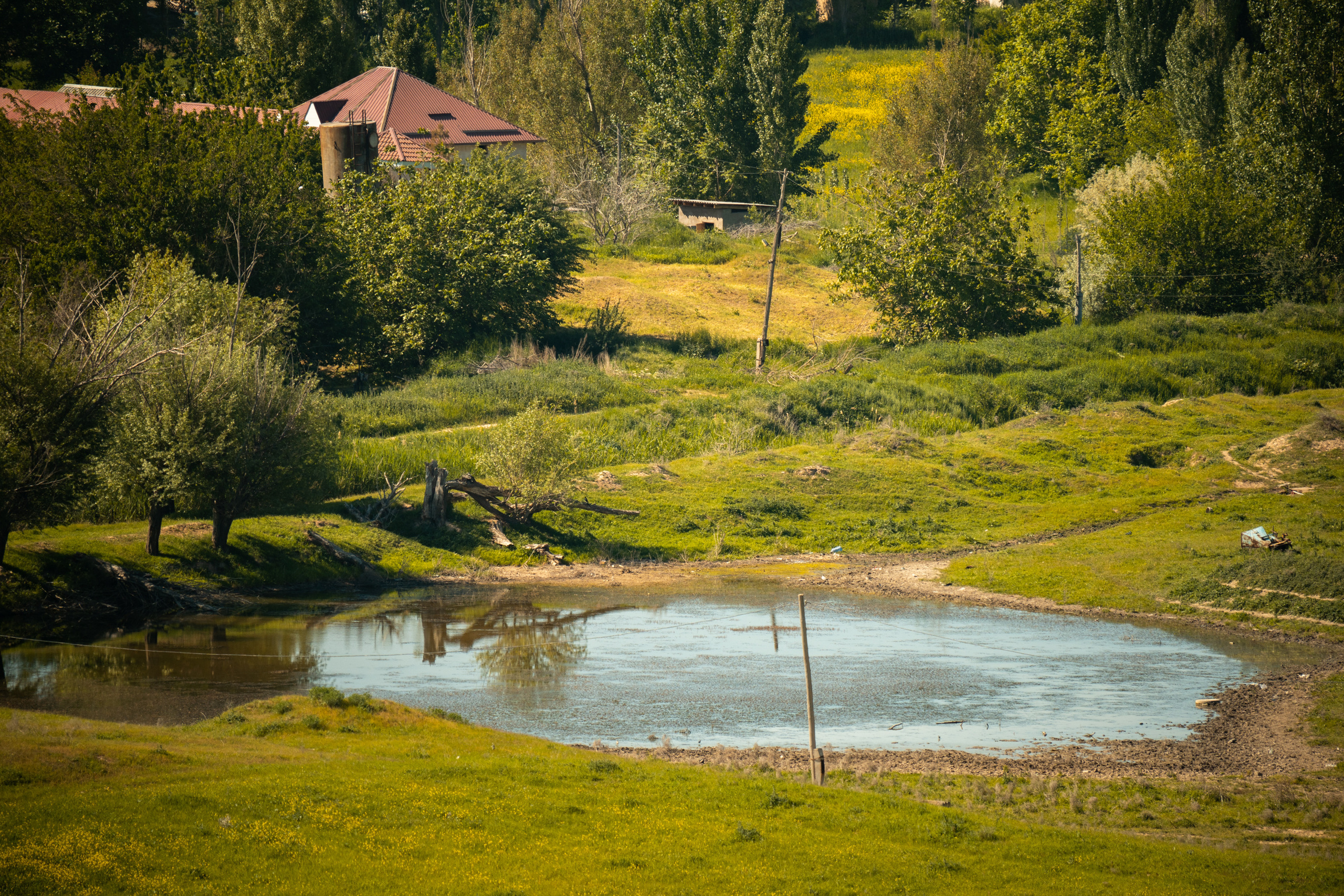 SIGMA 60-600mm — обзор. Фотограф Григорий Кравец