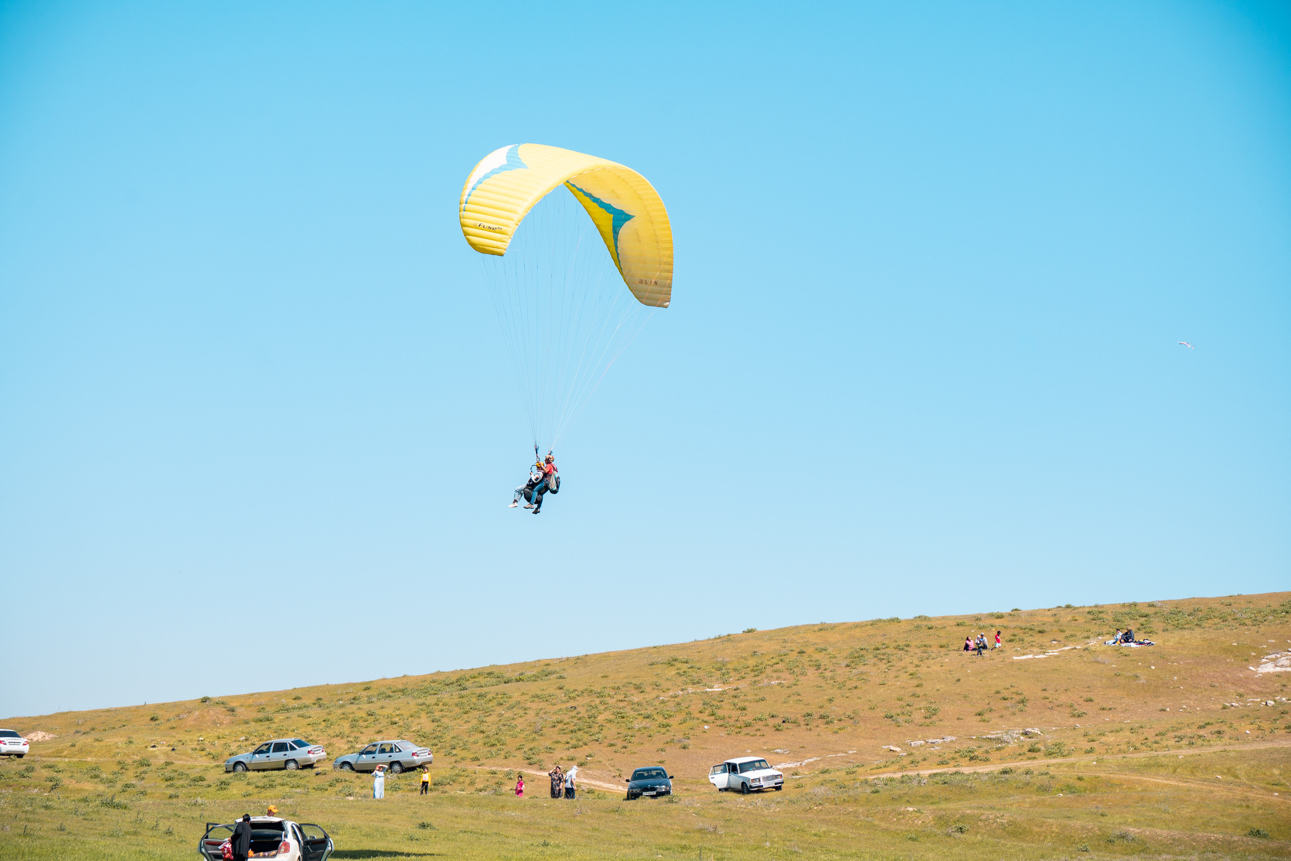 SIGMA 60-600mm — обзор. Фотограф Григорий Кравец