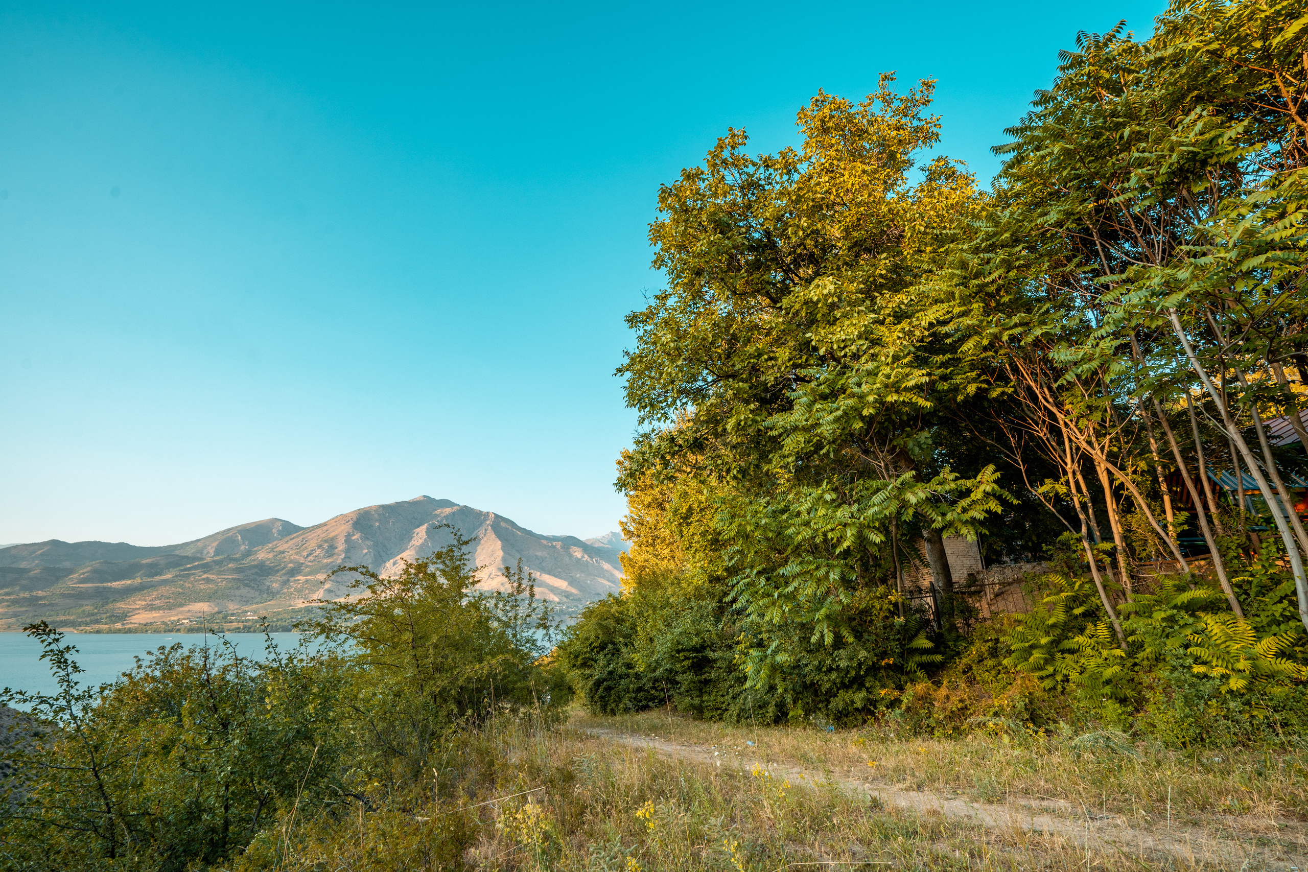 Sigma 14 mm F1.4 DG DN Art. Фотограф Григорий Кравец