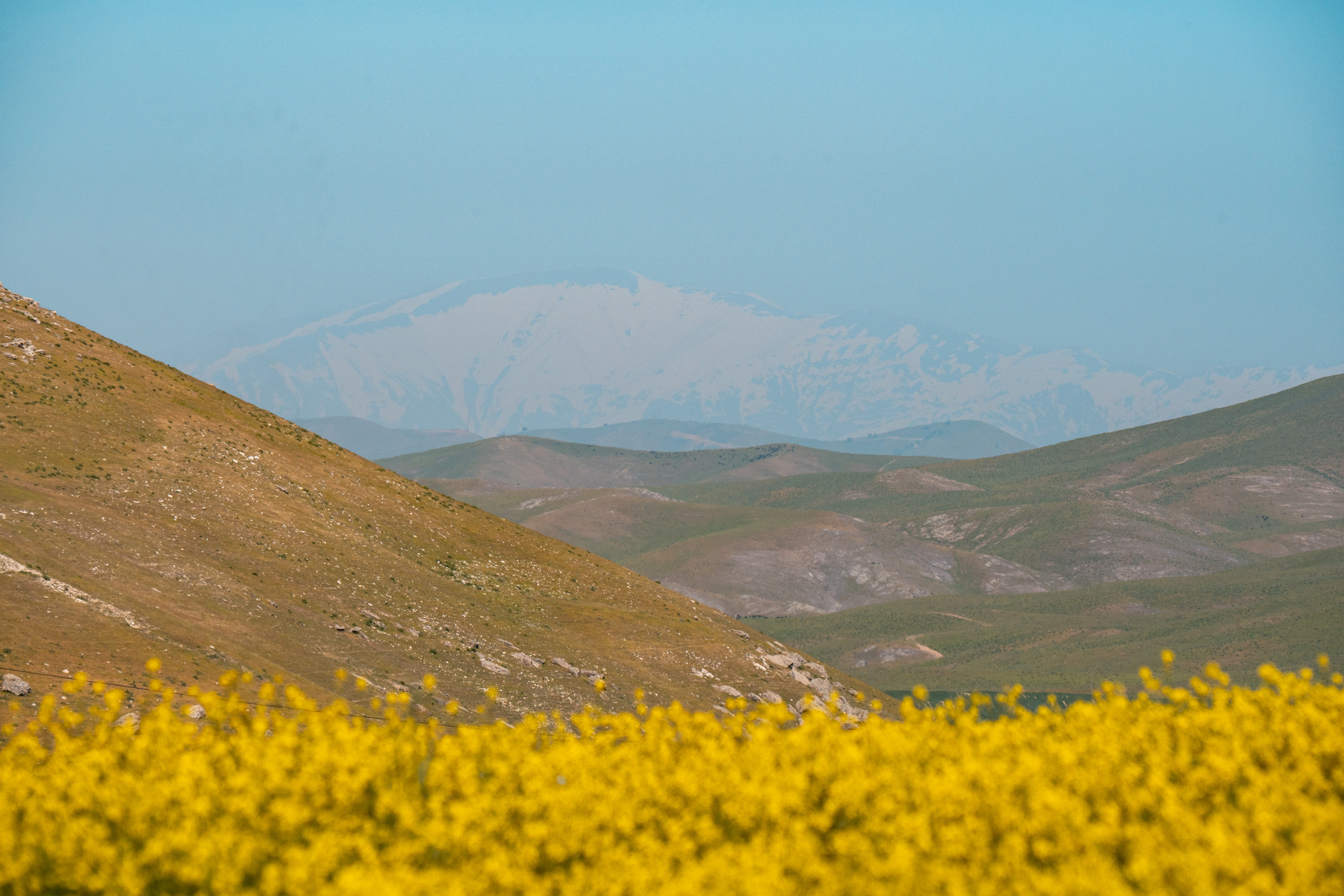 SIGMA 60-600mm — обзор. Фотограф Григорий Кравец