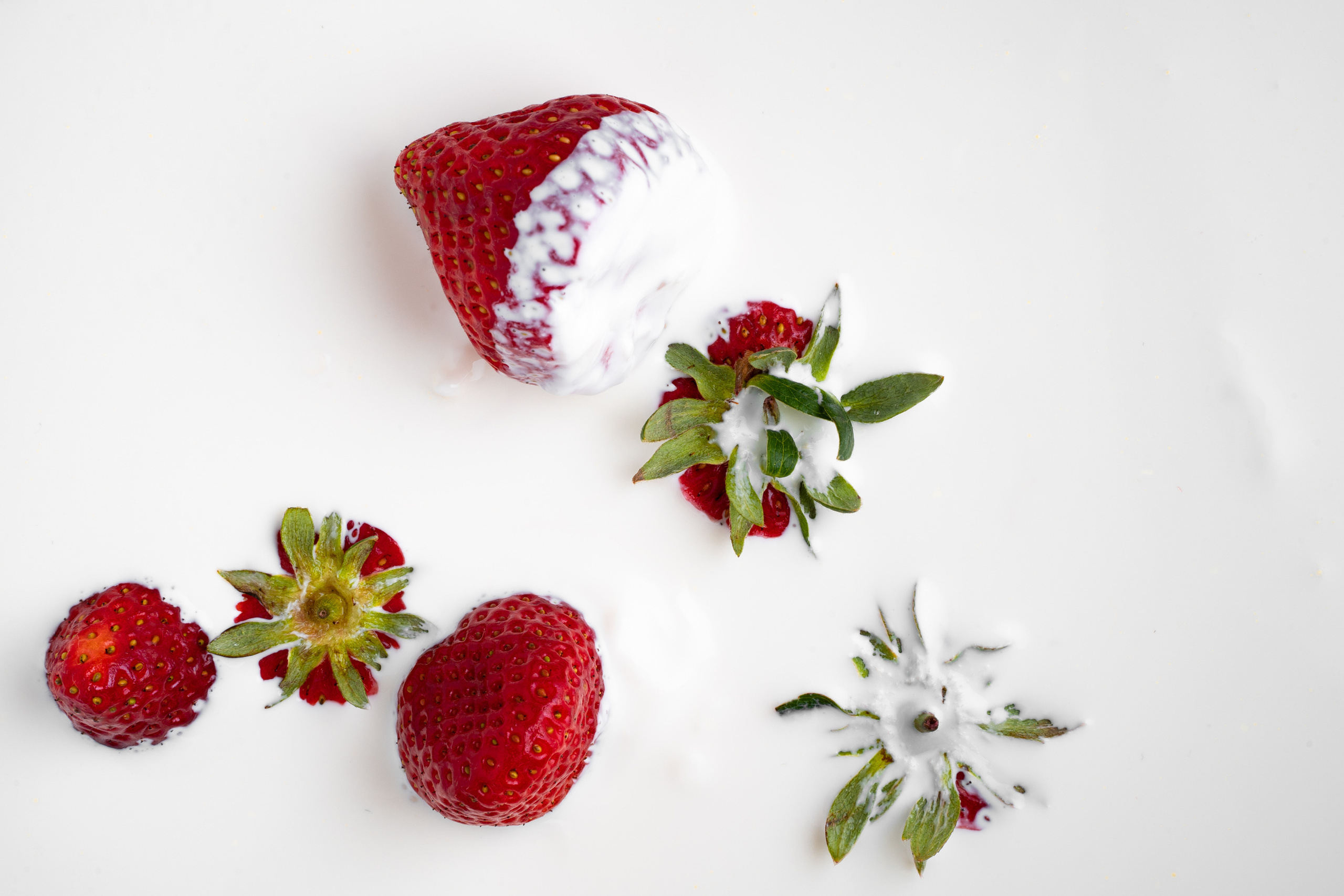 Sigma 50 mm F/1.4 DG DN Art. Фотограф Григорий Кравец