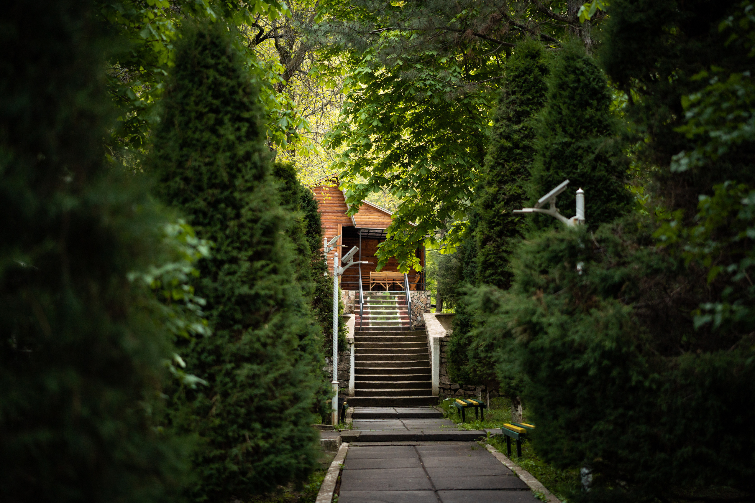 Sigma 50 mm F/1.4 DG DN Art. Фотограф Григорий Кравец