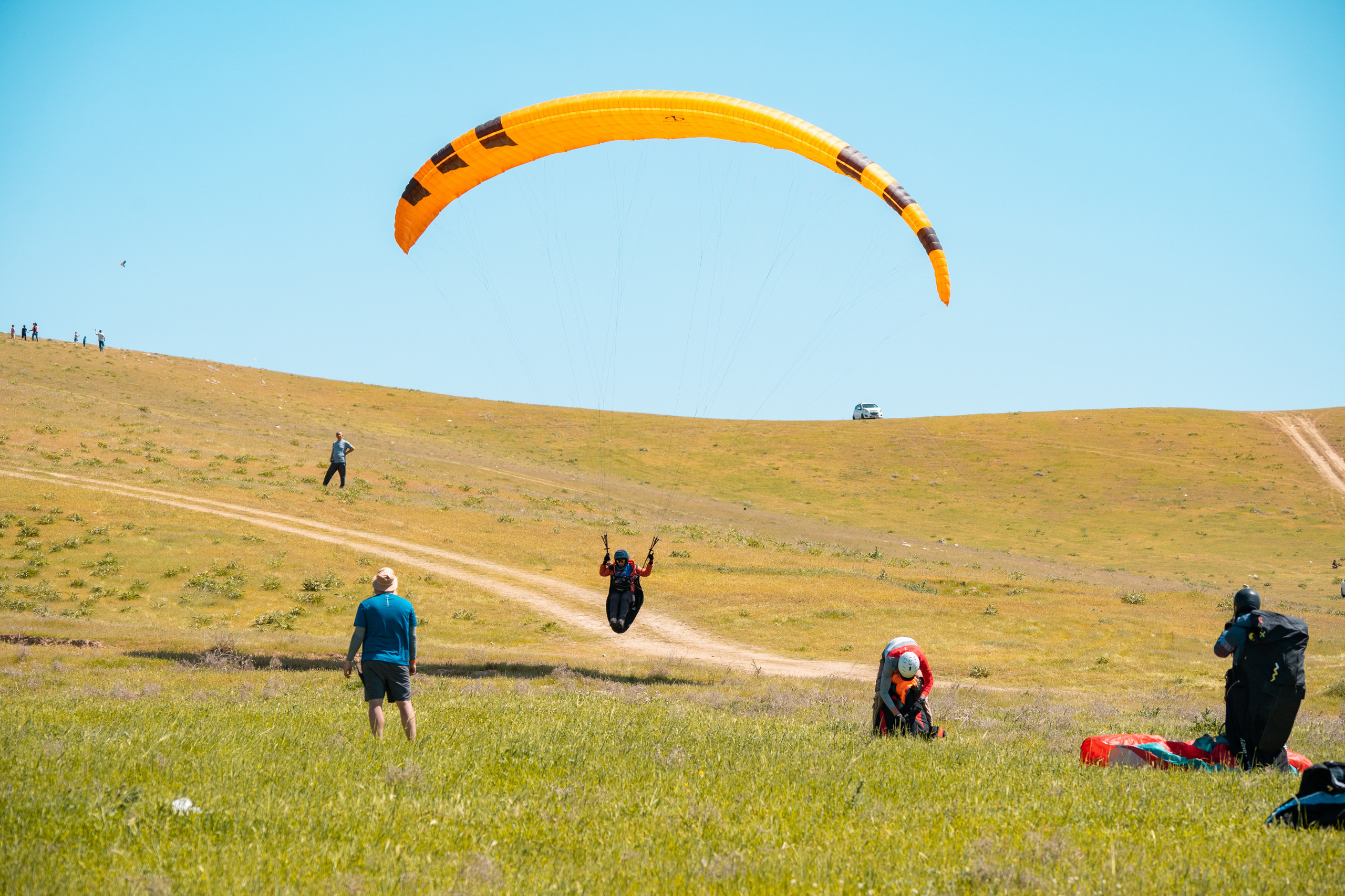 SIGMA 60-600mm — обзор. Фотограф Григорий Кравец