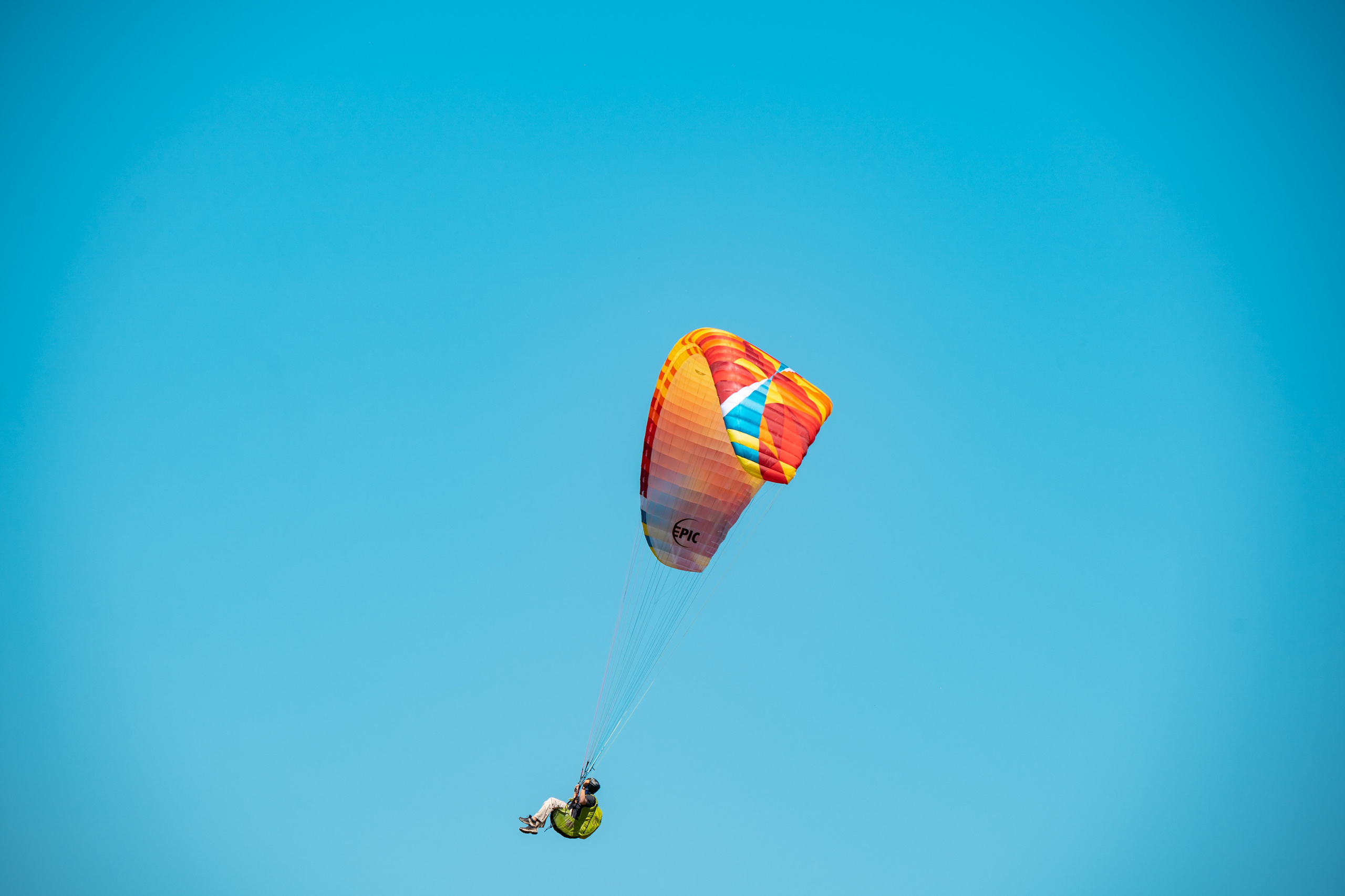 SIGMA 60-600mm — обзор. Фотограф Григорий Кравец