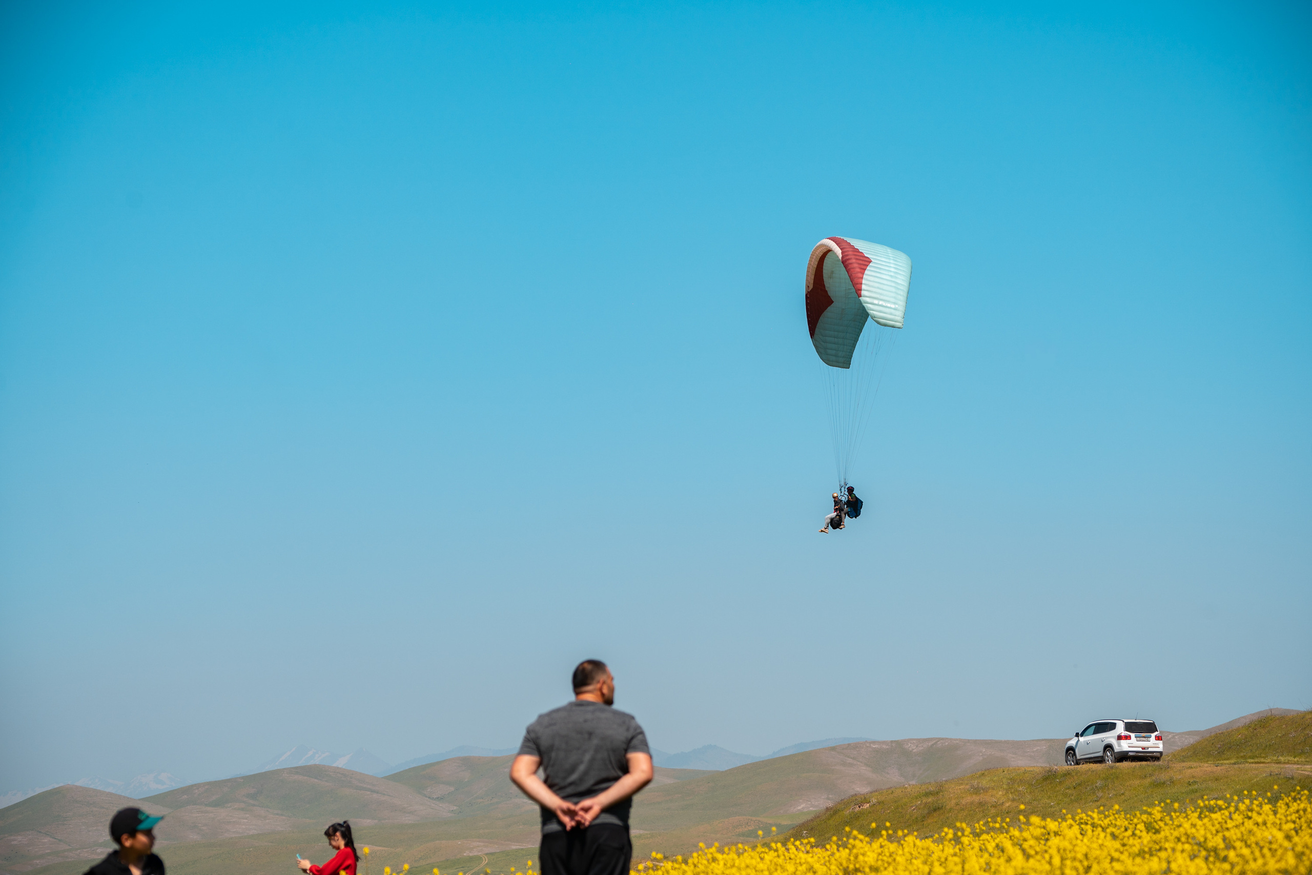 SIGMA 60-600mm — обзор. Фотограф Григорий Кравец