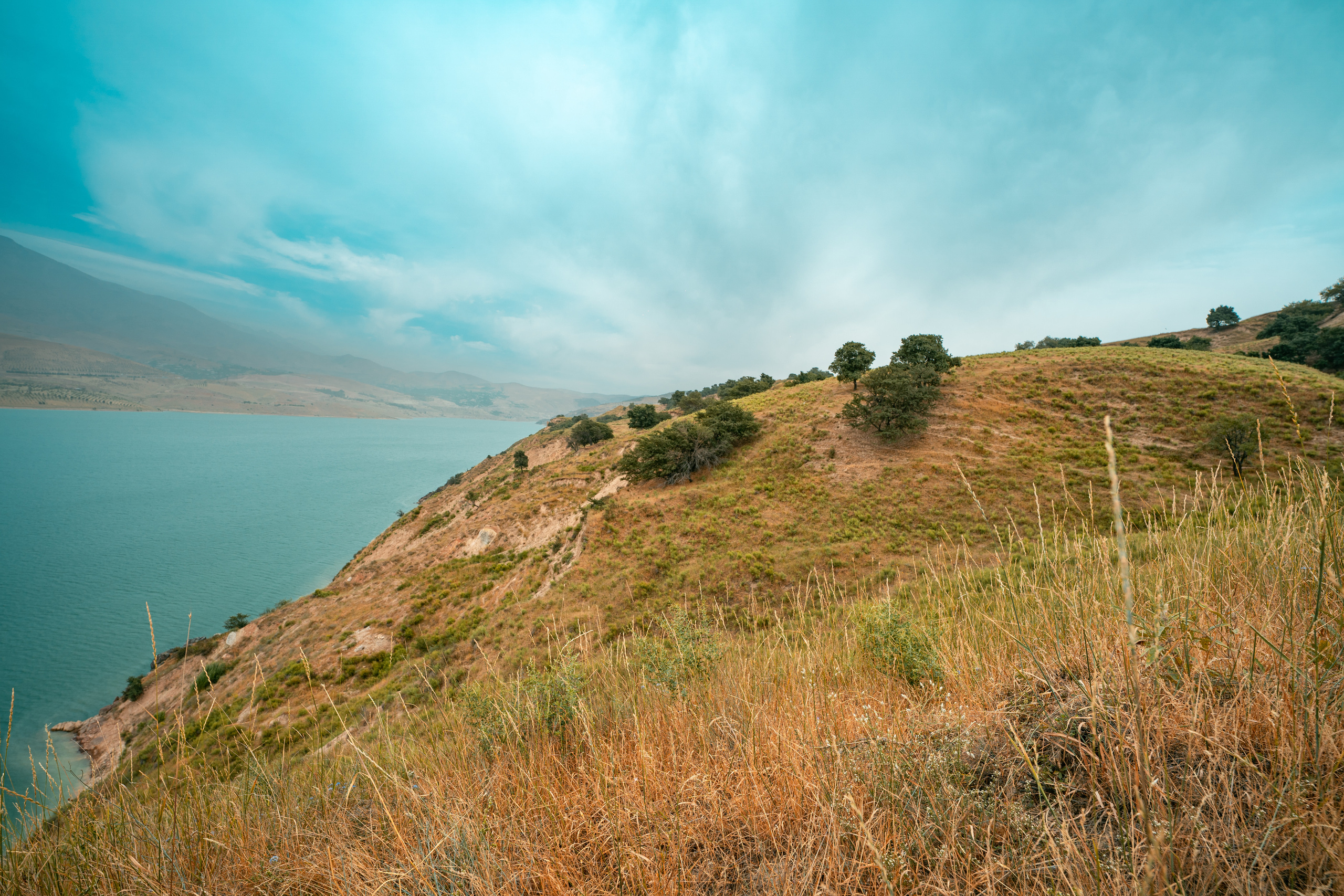 Sigma 14 mm F1.4 DG DN Art. Фотограф Григорий Кравец