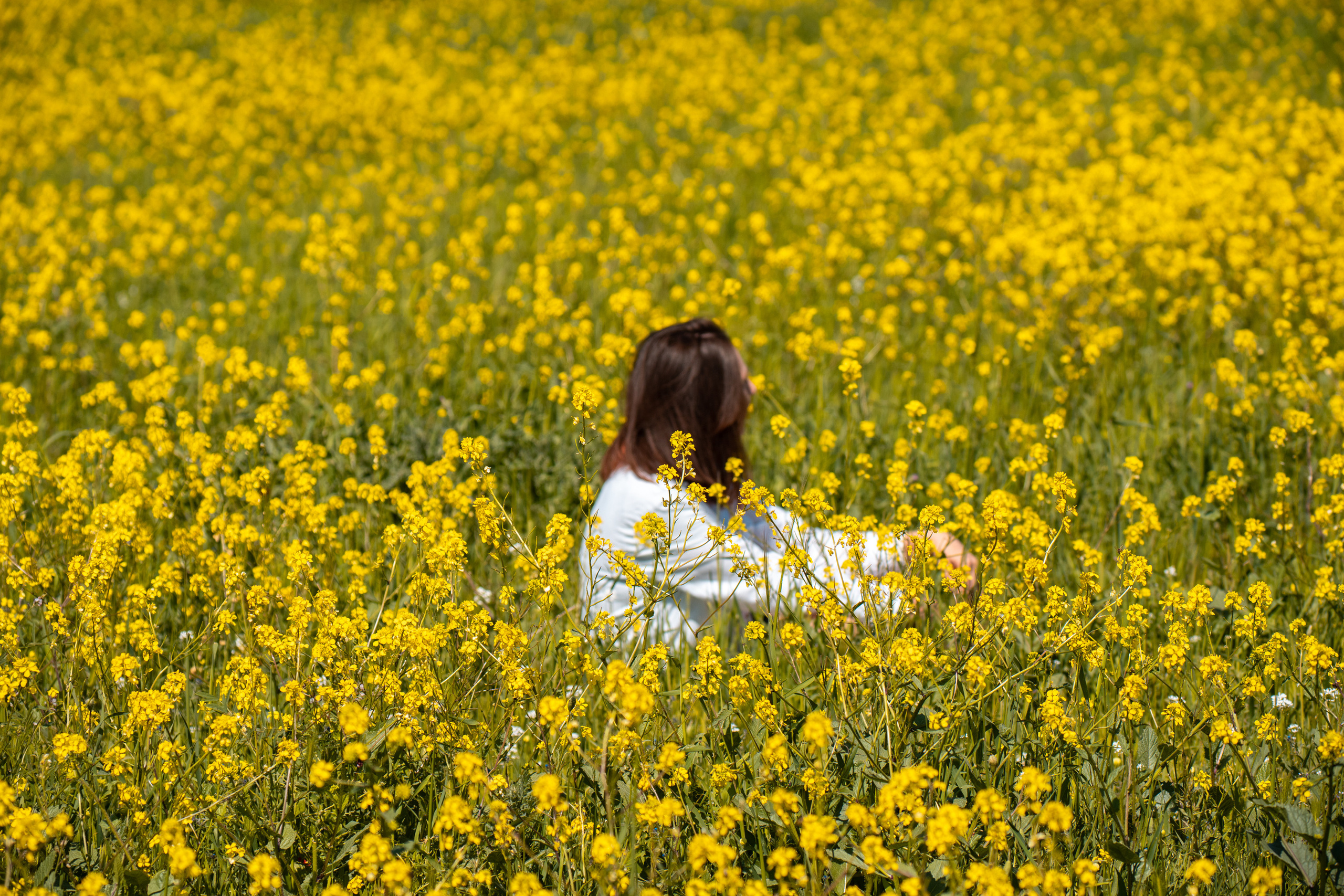 SIGMA 60-600mm — обзор. Фотограф Григорий Кравец