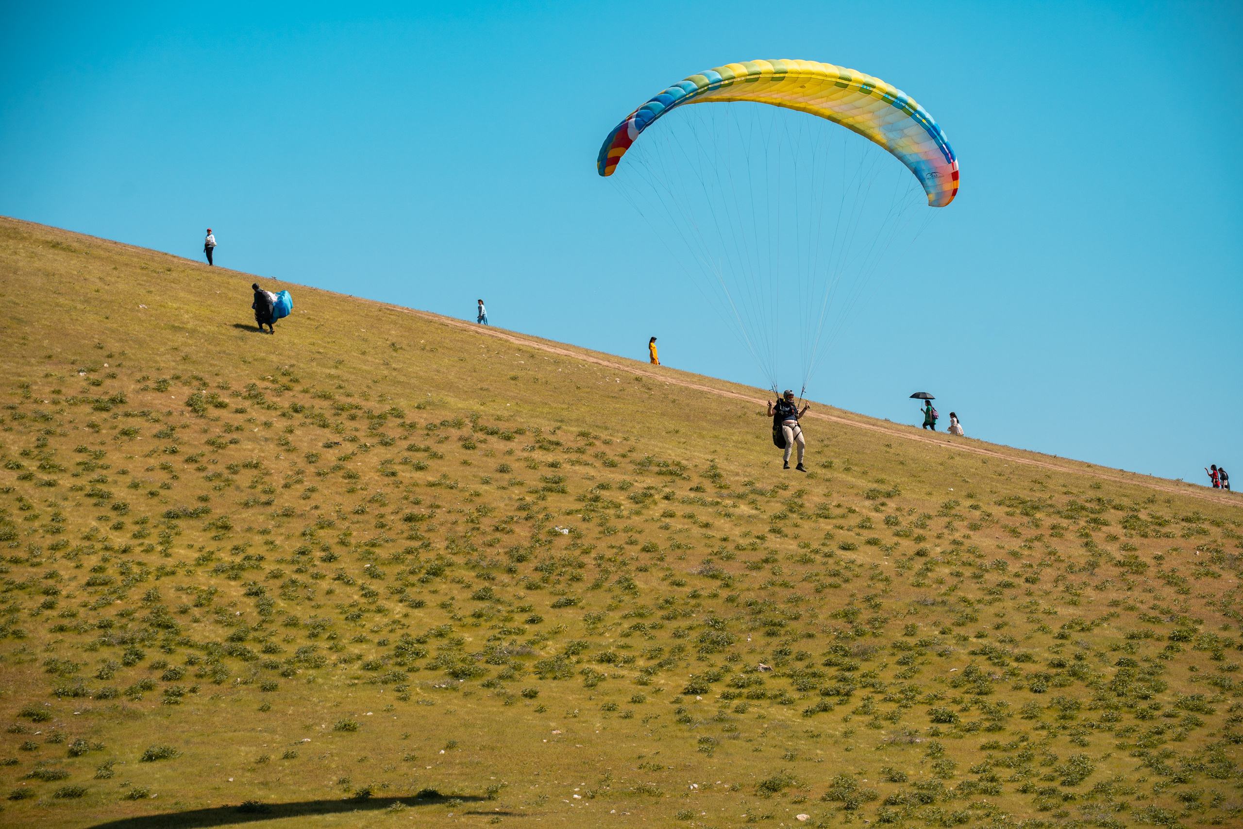 SIGMA 60-600mm — обзор. Фотограф Григорий Кравец