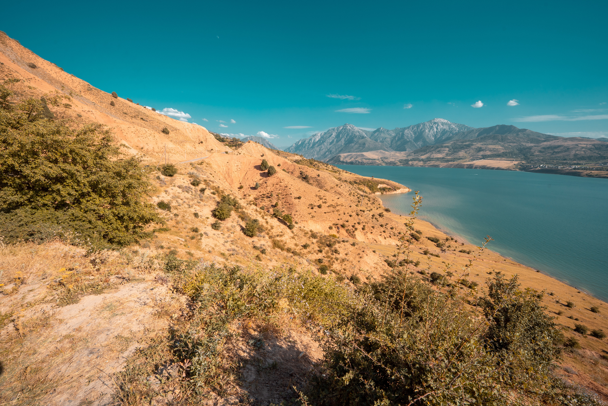 Sigma 14 mm F1.4 DG DN Art. Фотограф Григорий Кравец