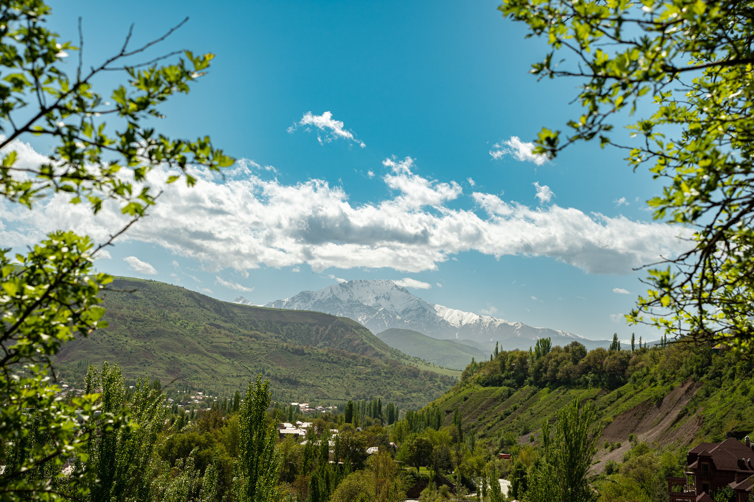 Sigma 50 mm F/1.4 DG DN Art. Фотограф Григорий Кравец