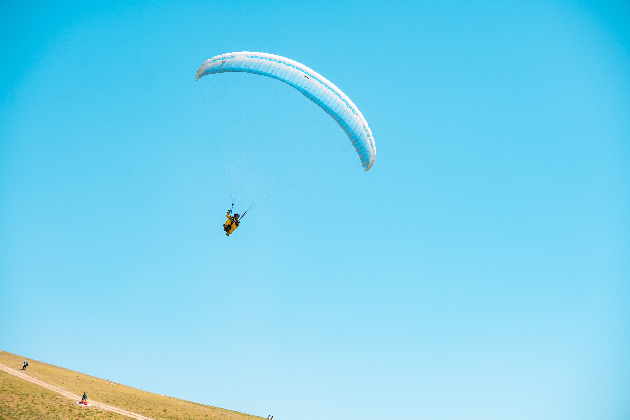 SIGMA 60-600mm — обзор. Фотограф Григорий Кравец