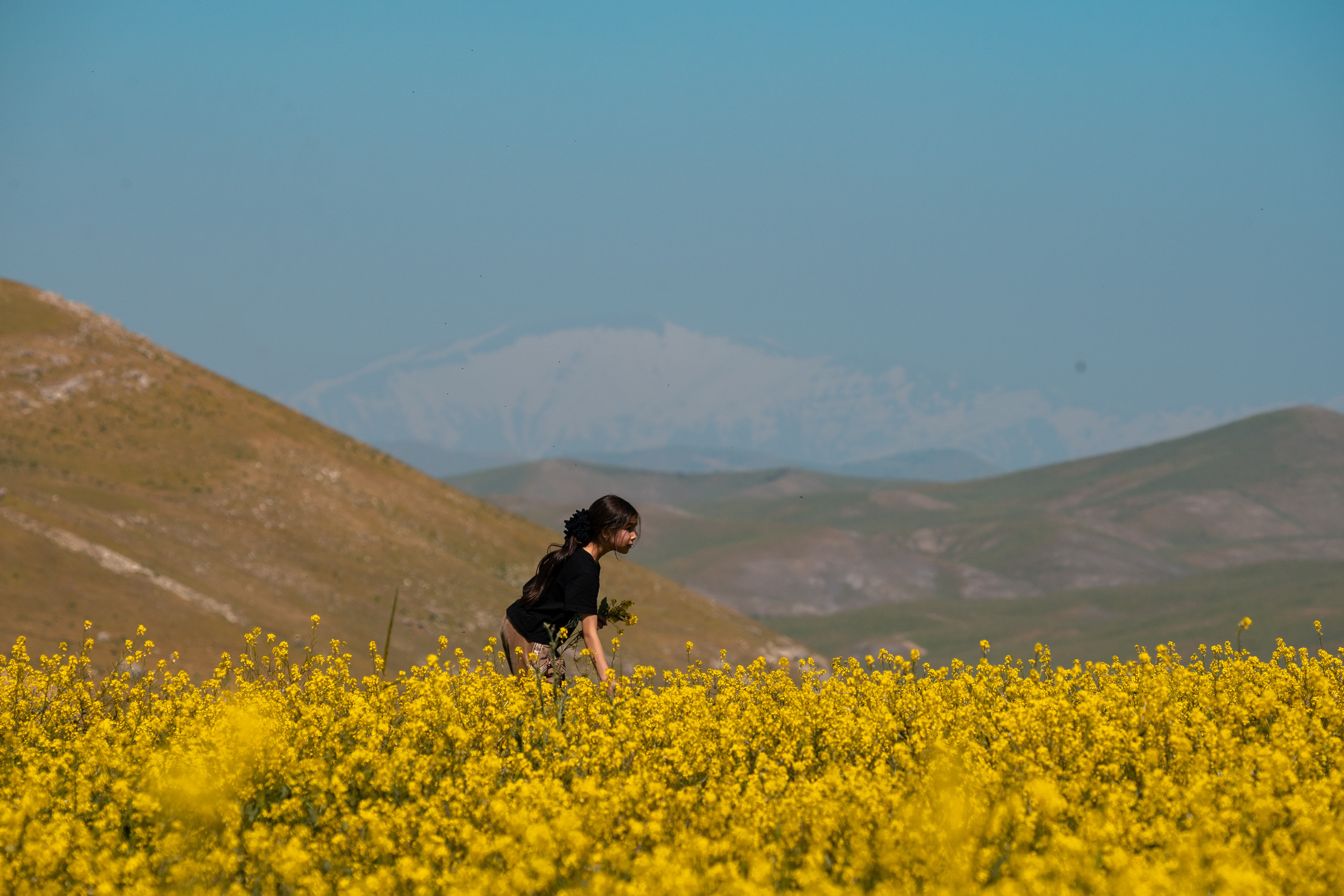 SIGMA 60-600mm — обзор. Фотограф Григорий Кравец