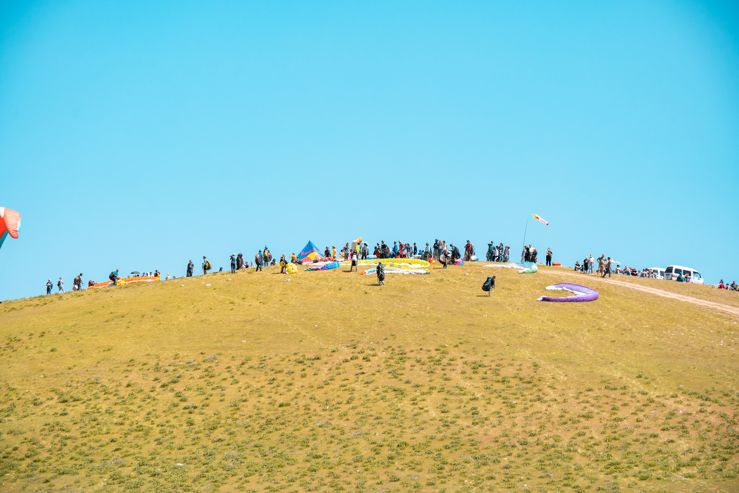 SIGMA 60-600mm — обзор. Фотограф Григорий Кравец