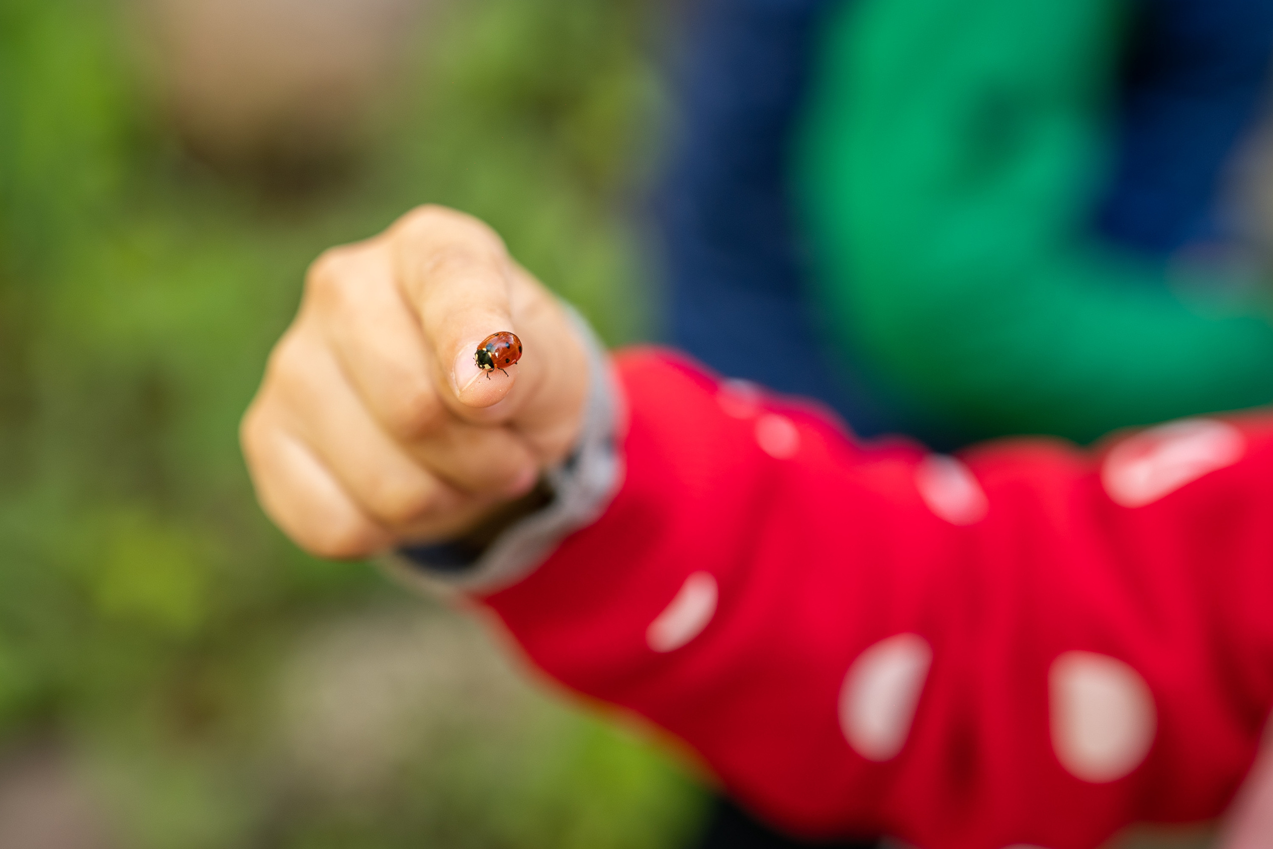 Sigma 50 mm F/1.4 DG DN Art. Фотограф Григорий Кравец