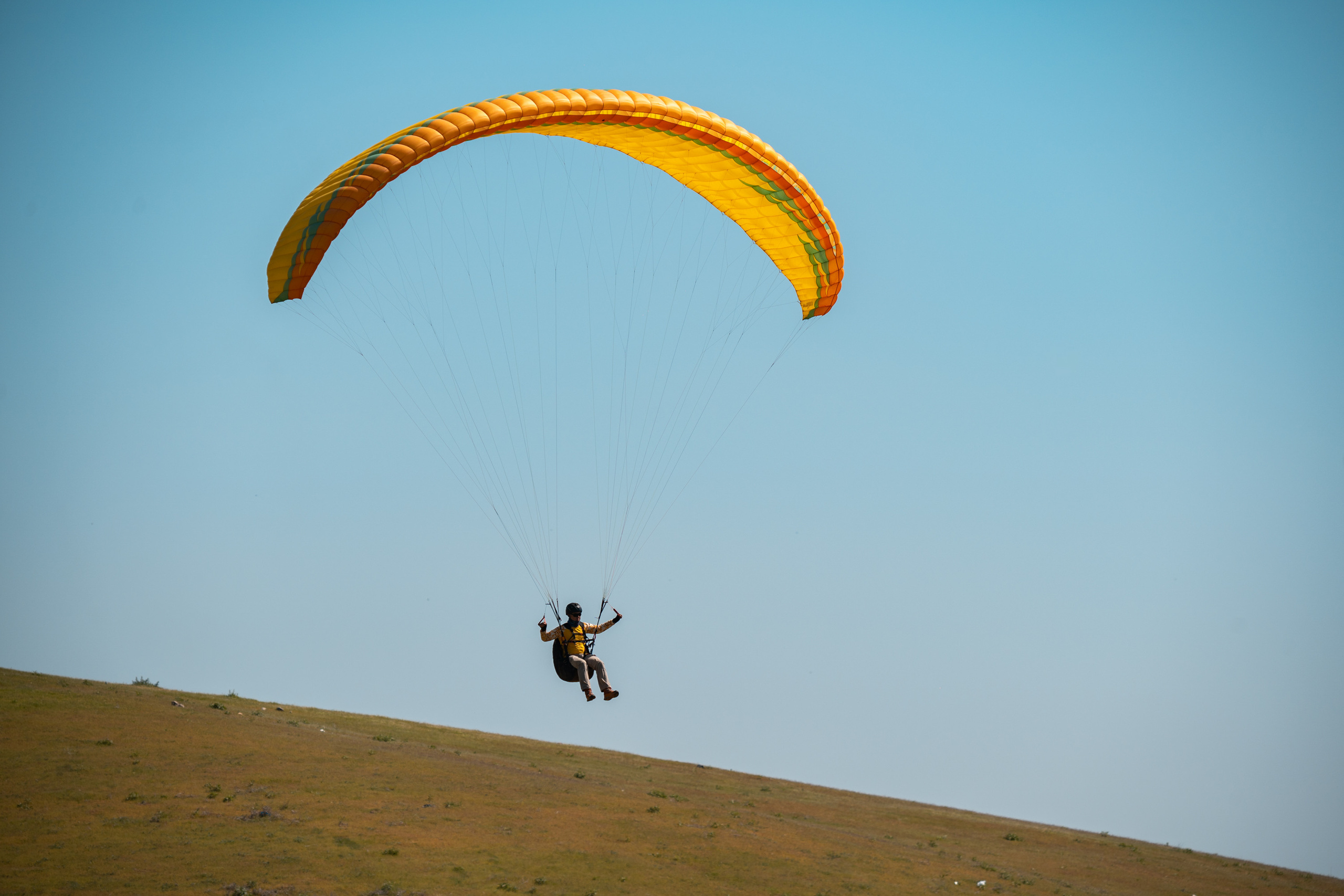 SIGMA 60-600mm — обзор. Фотограф Григорий Кравец