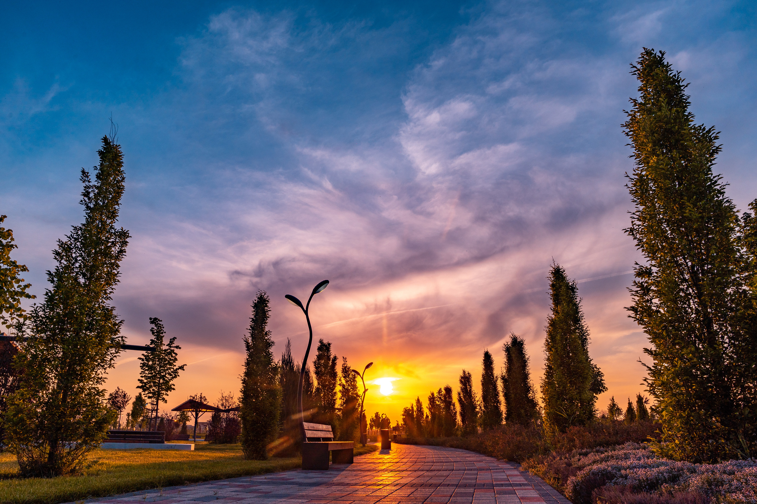 Sigma 24-70mm F2.8 DG DN Art (Sony E). Фотограф Григорий Кравец