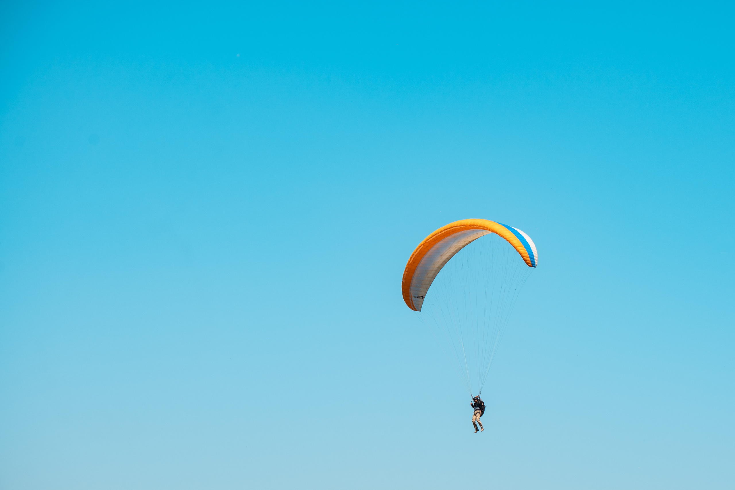 SIGMA 60-600mm — обзор. Фотограф Григорий Кравец