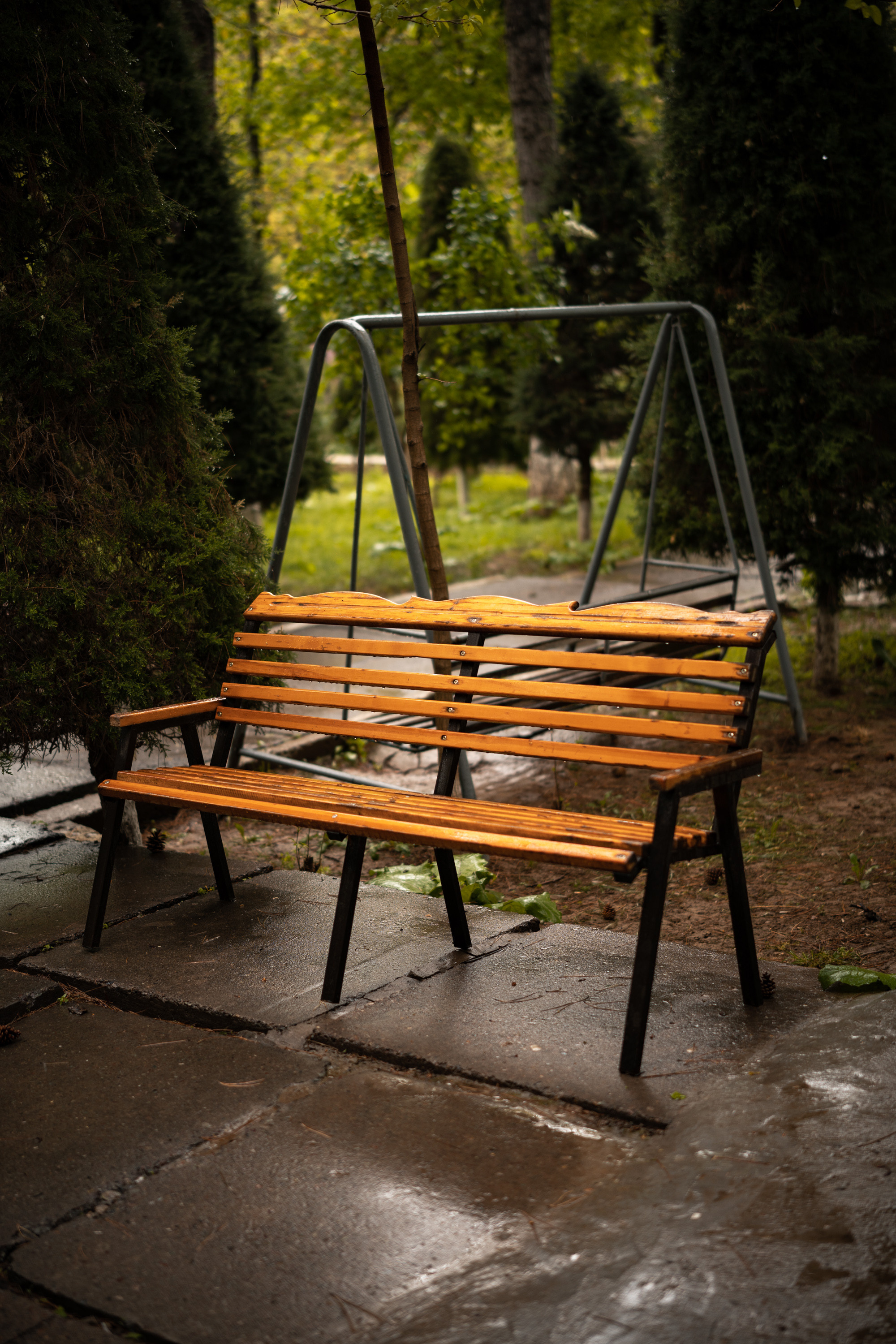 Sigma 50 mm F/1.4 DG DN Art. Фотограф Григорий Кравец