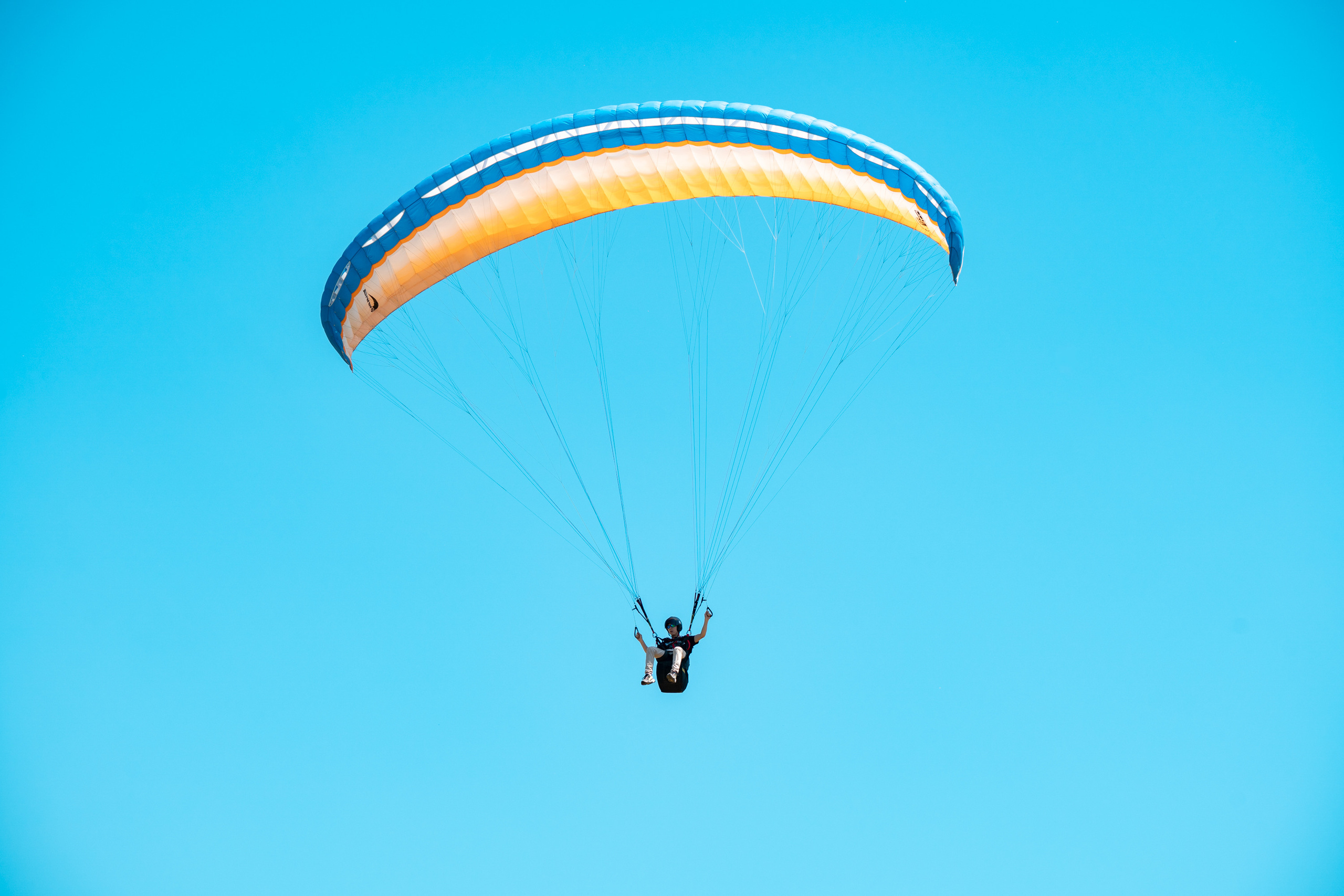 SIGMA 60-600mm — обзор. Фотограф Григорий Кравец