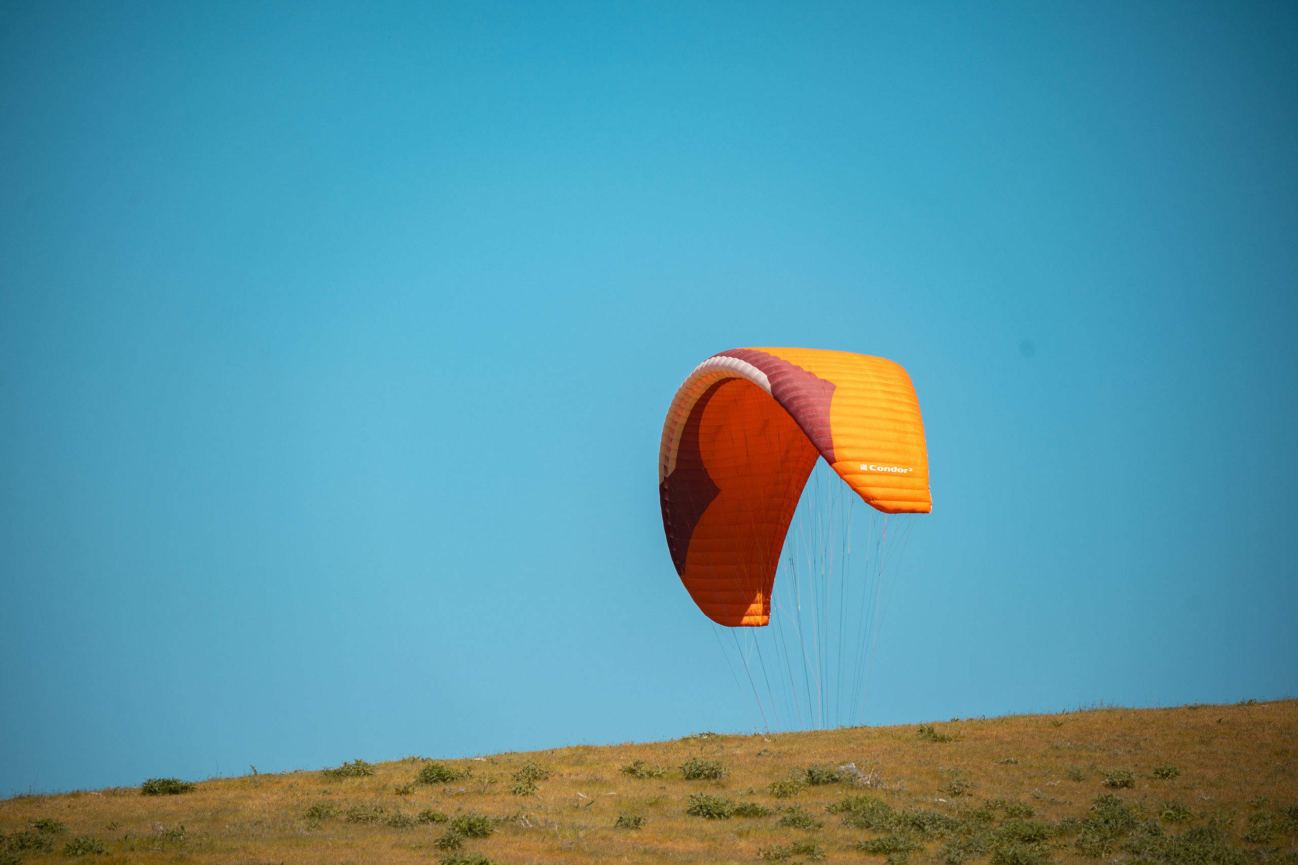 SIGMA 60-600mm — обзор. Фотограф Григорий Кравец