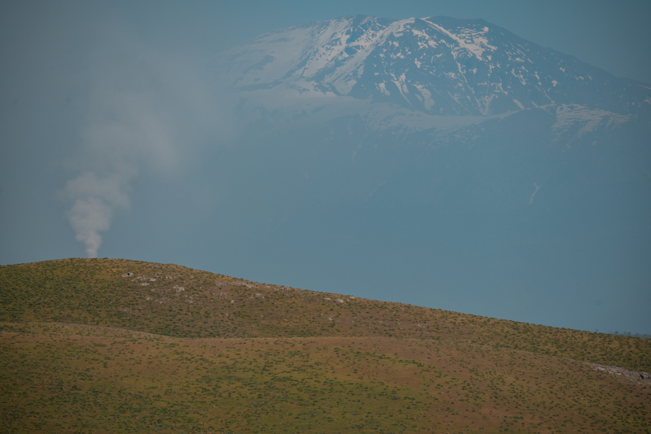 SIGMA 60-600mm — обзор. Фотограф Григорий Кравец