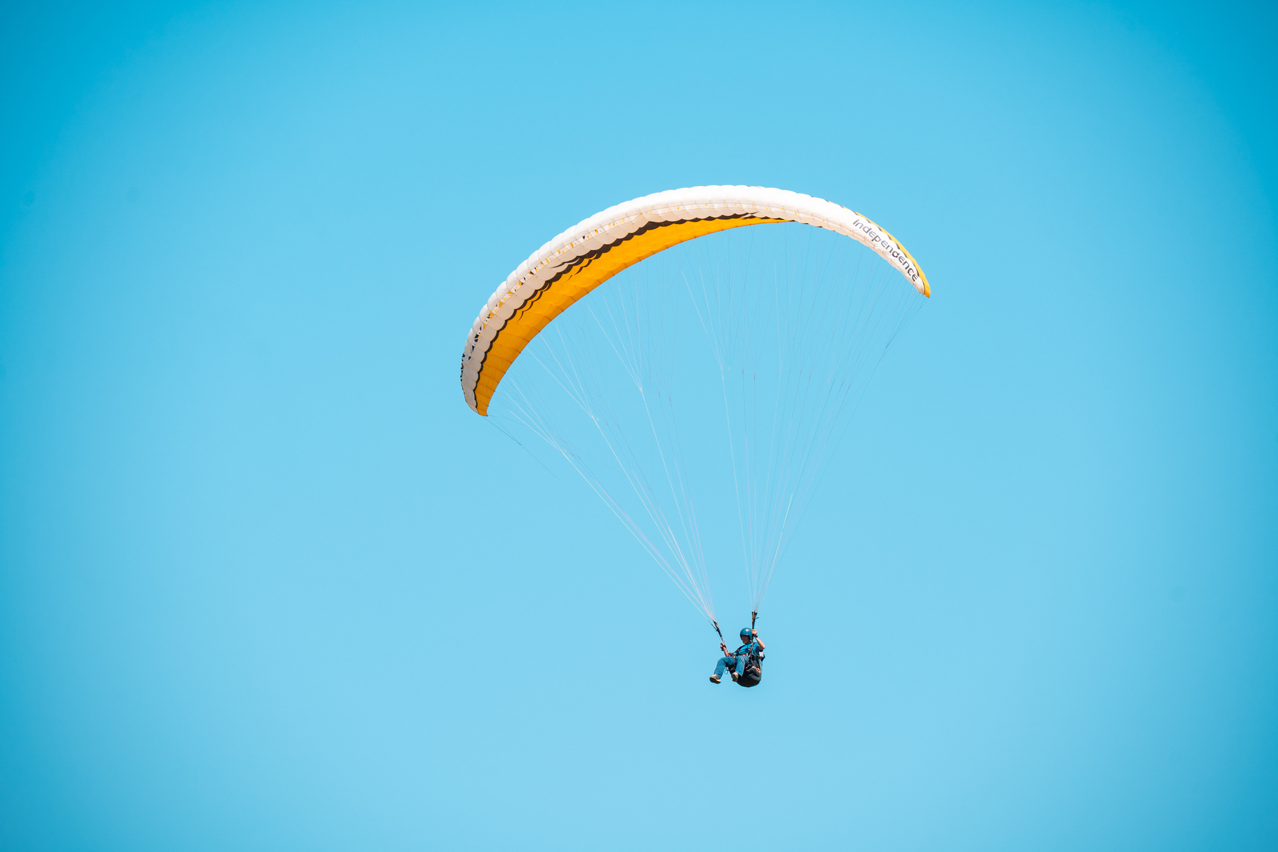 SIGMA 60-600mm — обзор. Фотограф Григорий Кравец