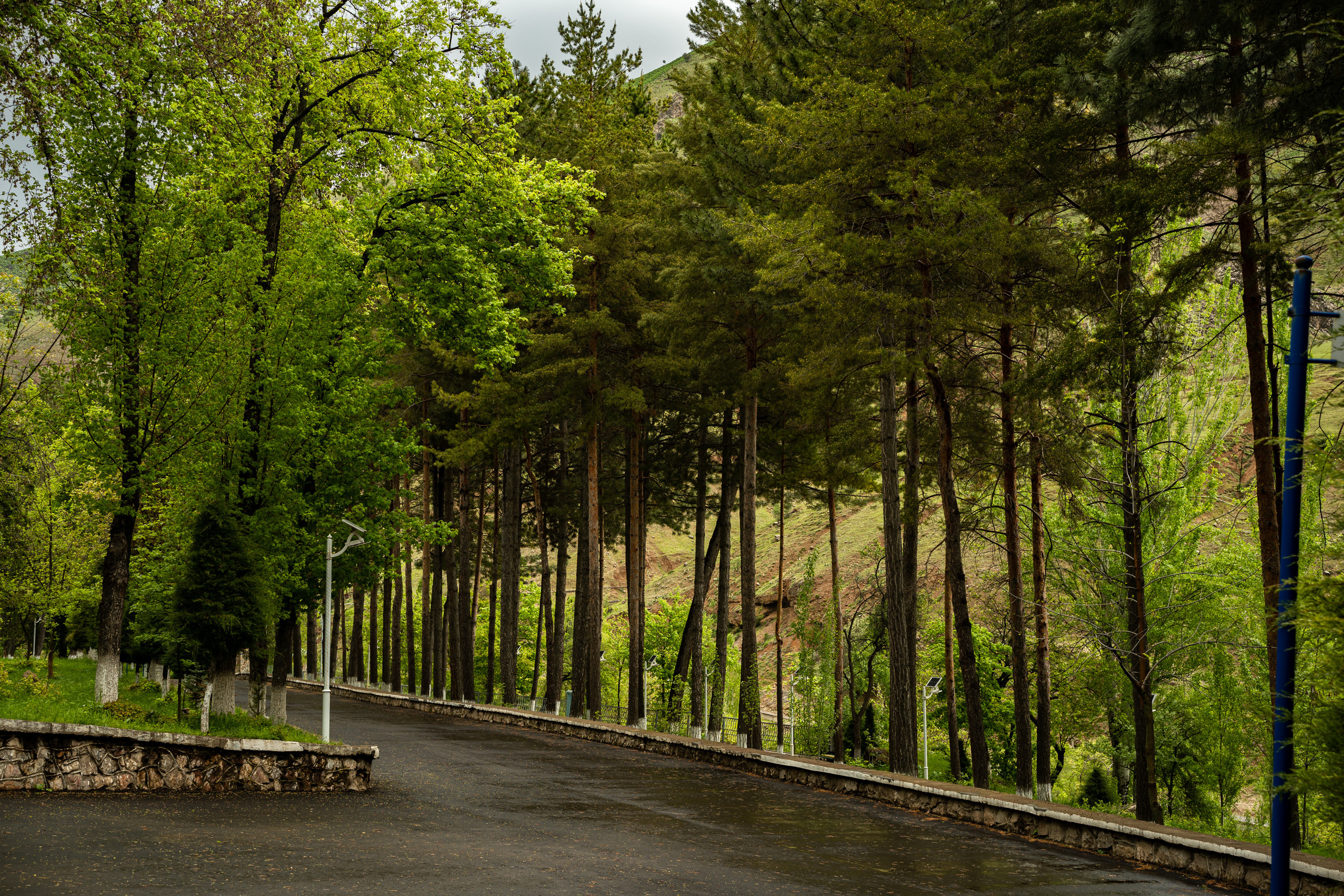 Sigma 50 mm F/1.4 DG DN Art. Фотограф Григорий Кравец